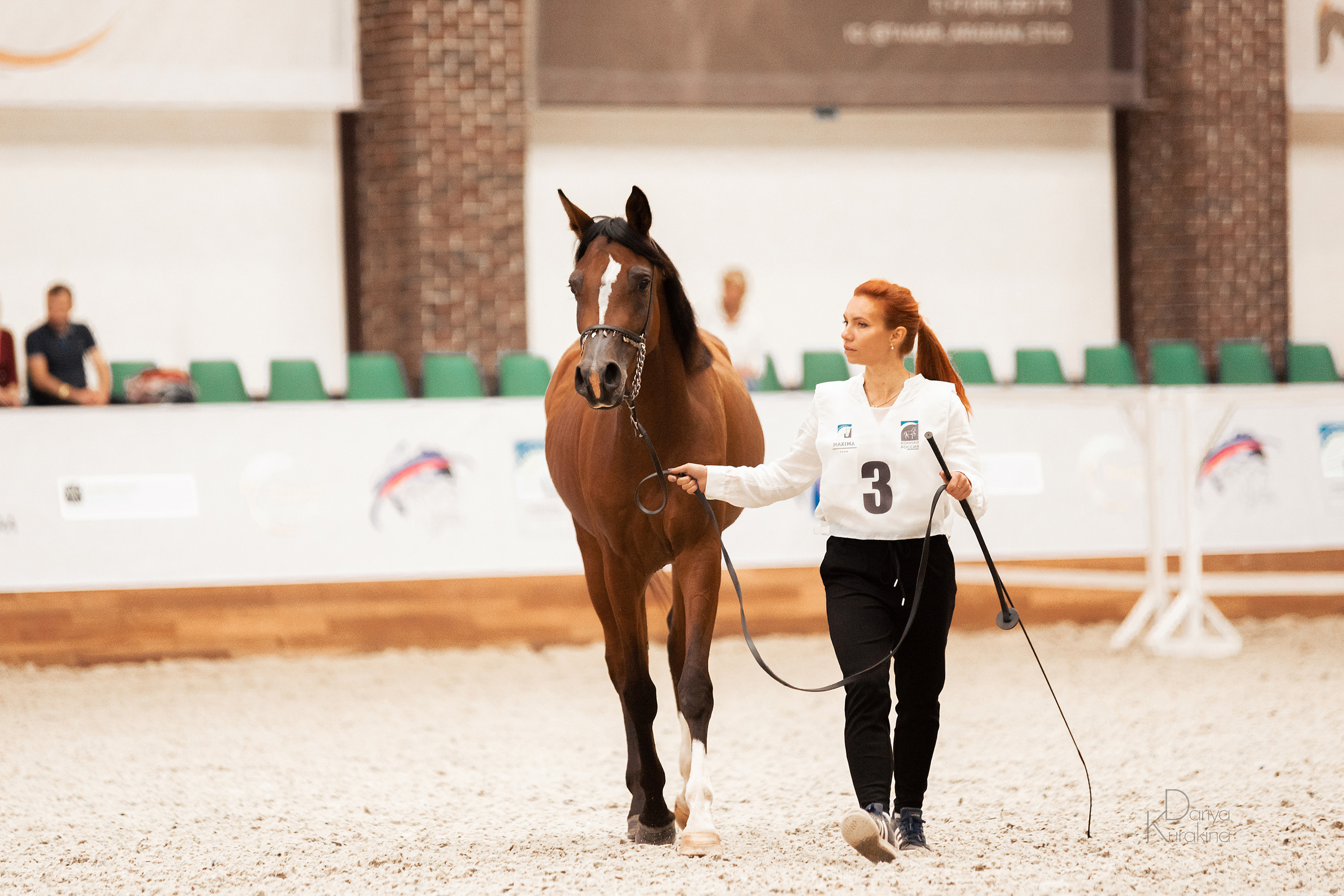 Конная Россия 2021. Конный фотограф Куракина Дарья • Фотосессии с лошадьми