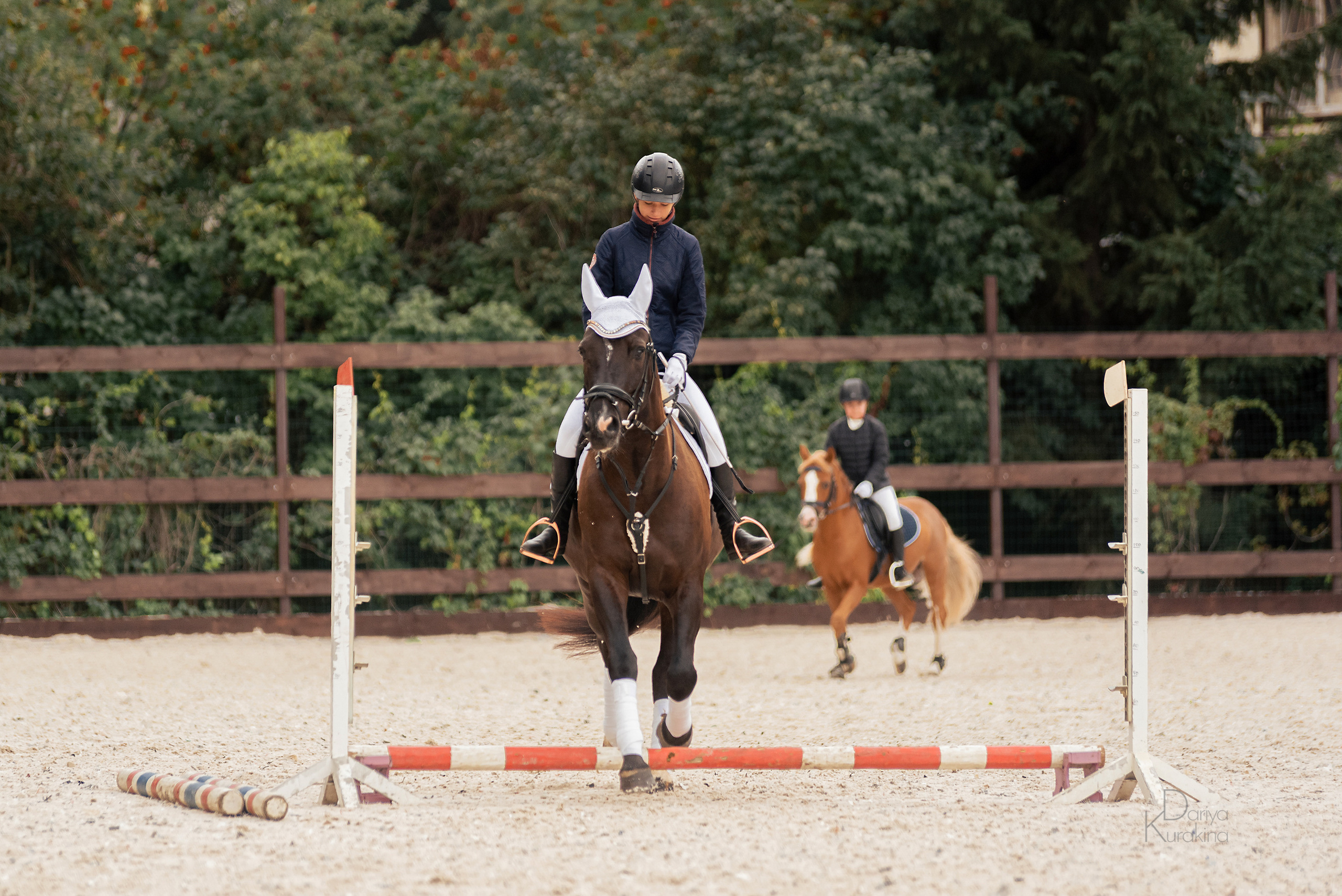КСК Белая Дача, конкур. Конный фотограф Куракина Дарья • Фотосессии с лошадьми