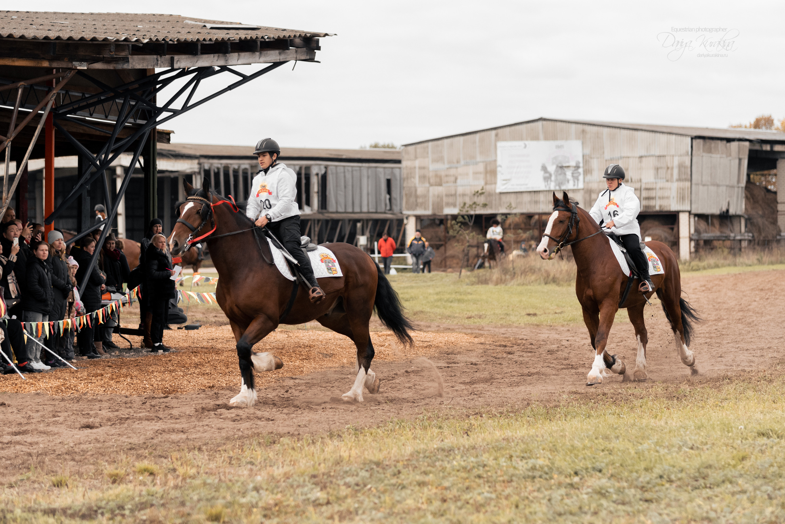 Богдарня. Конный фотограф Куракина Дарья • Фотосессии с лошадьми