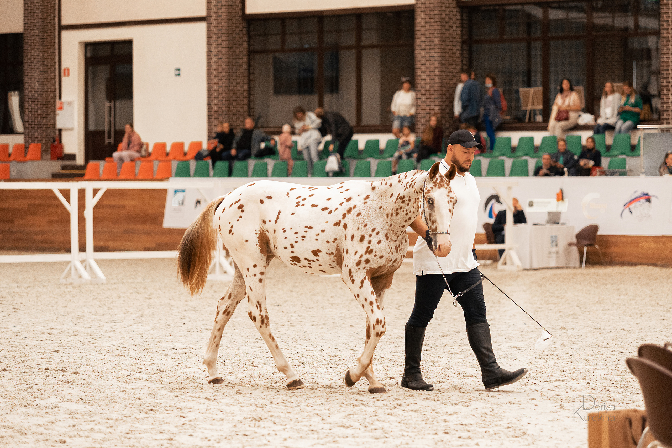 Конная Россия 2021. Конный фотограф Куракина Дарья • Фотосессии с лошадьми