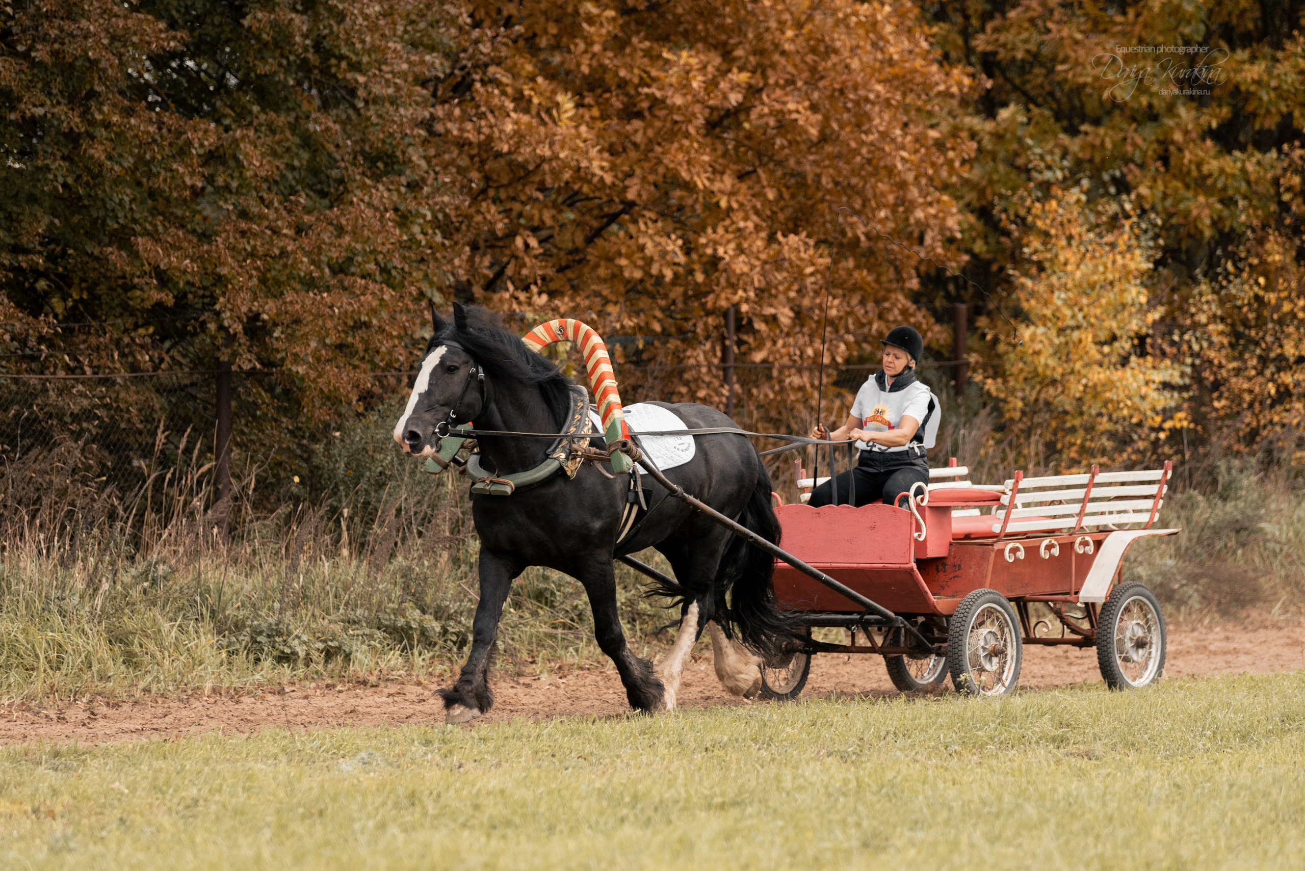 Богдарня. Конный фотограф Куракина Дарья • Фотосессии с лошадьми