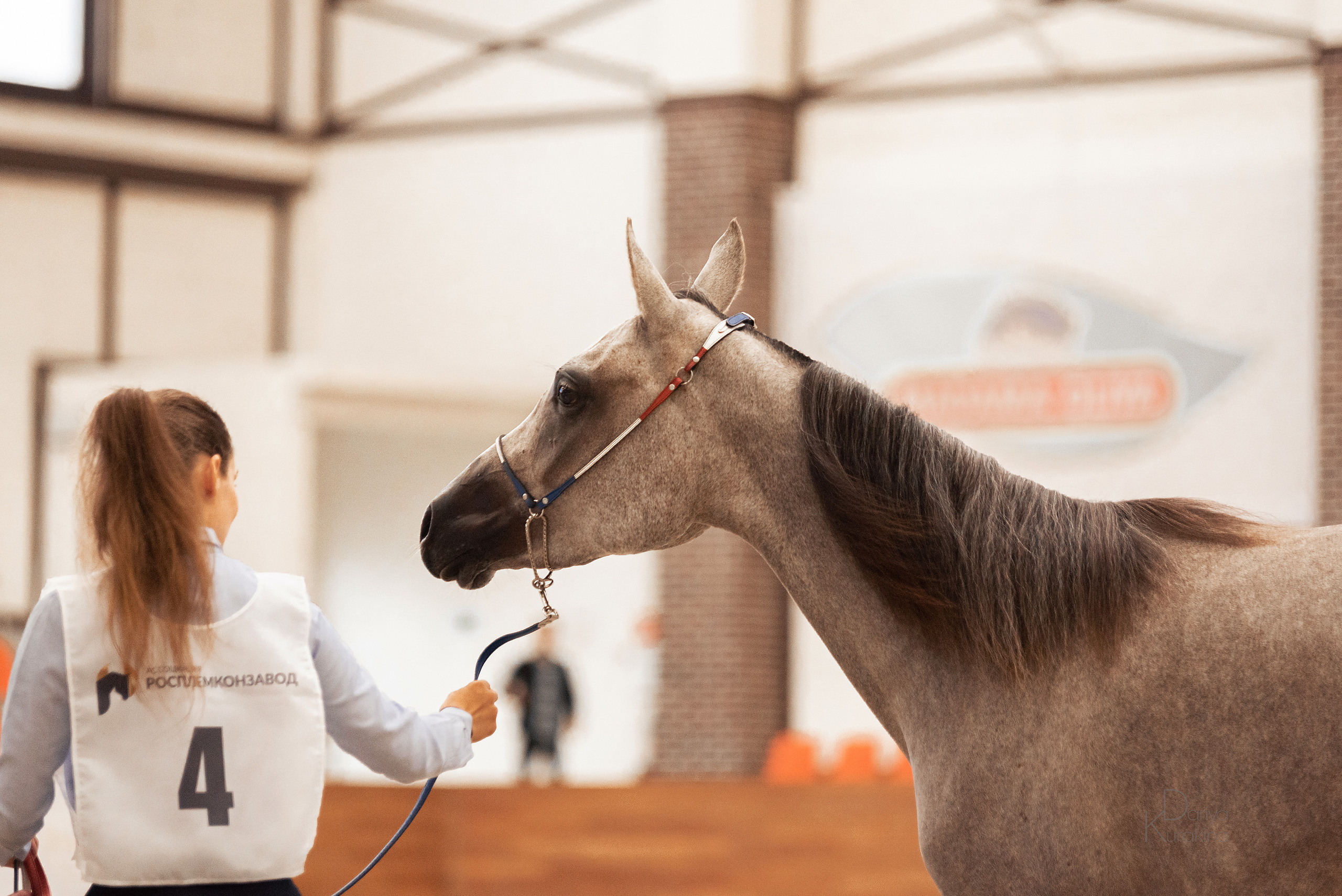 Конная Россия 2021. Конный фотограф Куракина Дарья • Фотосессии с лошадьми