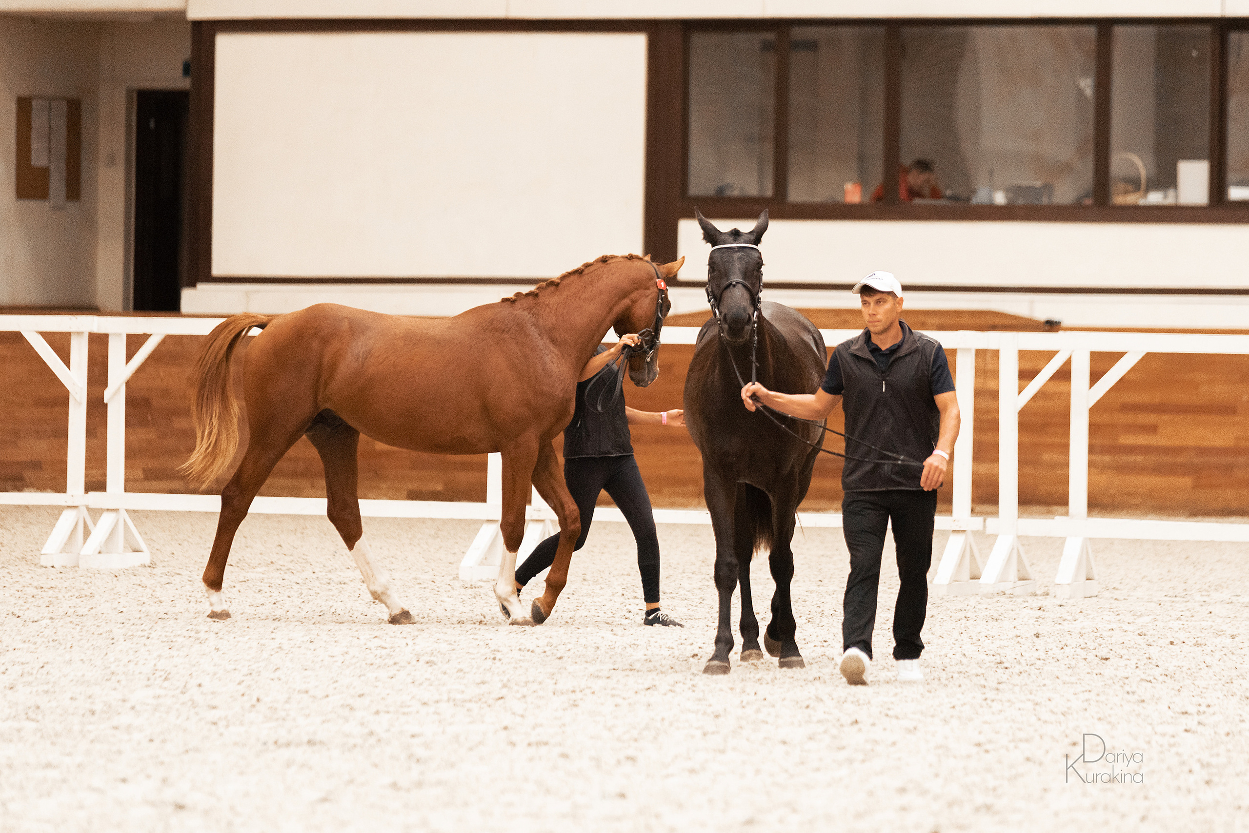 Конная Россия 2021. Конный фотограф Куракина Дарья • Фотосессии с лошадьми