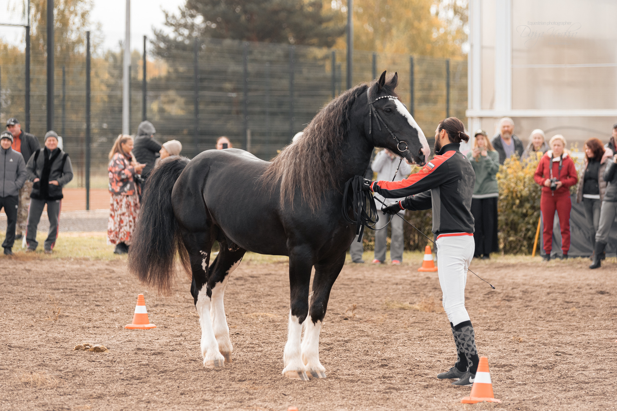 Богдарня. Конный фотограф Куракина Дарья • Фотосессии с лошадьми