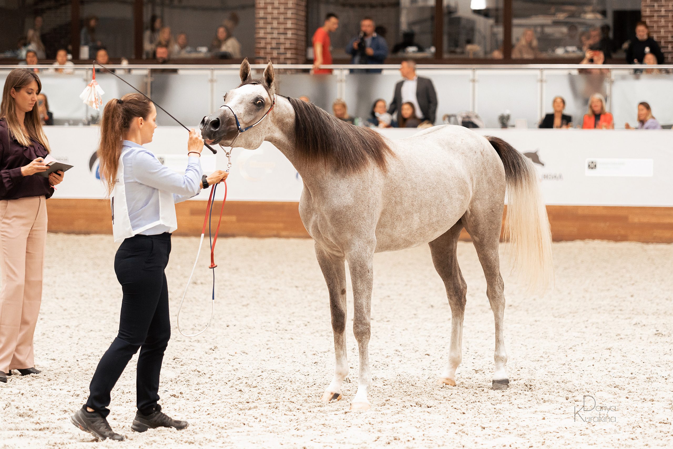 Конная Россия 2021. Конный фотограф Куракина Дарья • Фотосессии с лошадьми