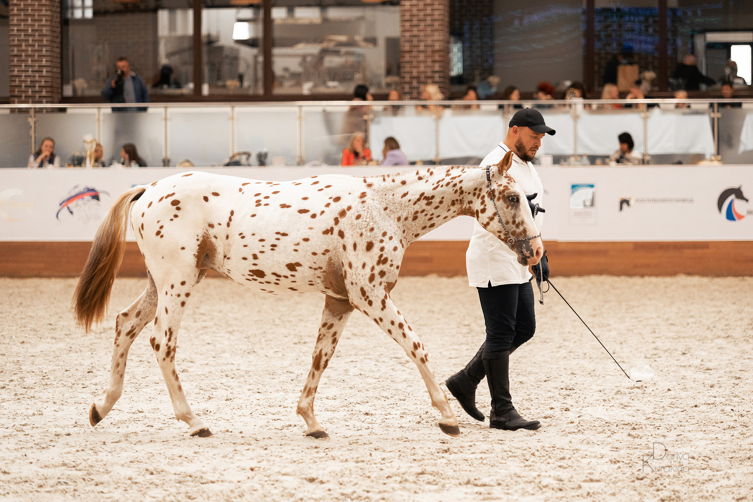 Конная Россия 2021. Конный фотограф Куракина Дарья • Фотосессии с лошадьми