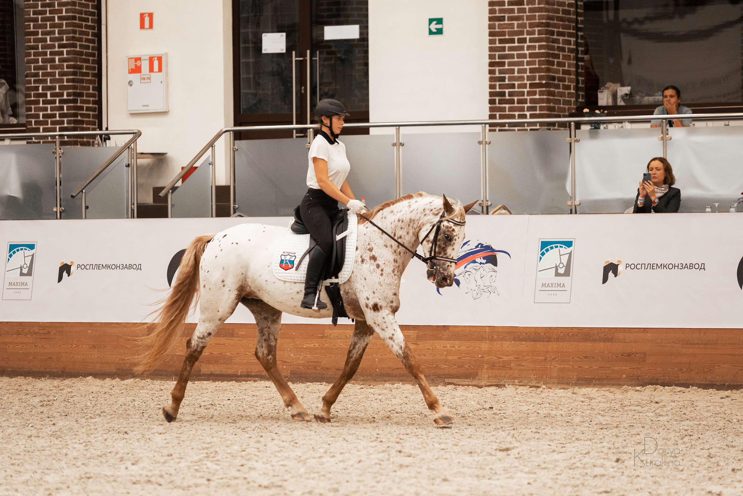 Конная Россия 2021. Конный фотограф Куракина Дарья • Фотосессии с лошадьми