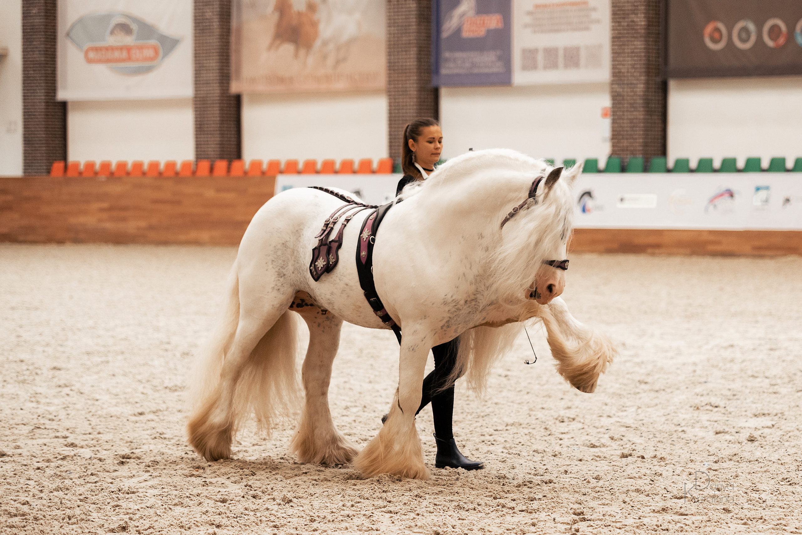 Конная Россия 2021. Конный фотограф Куракина Дарья • Фотосессии с лошадьми