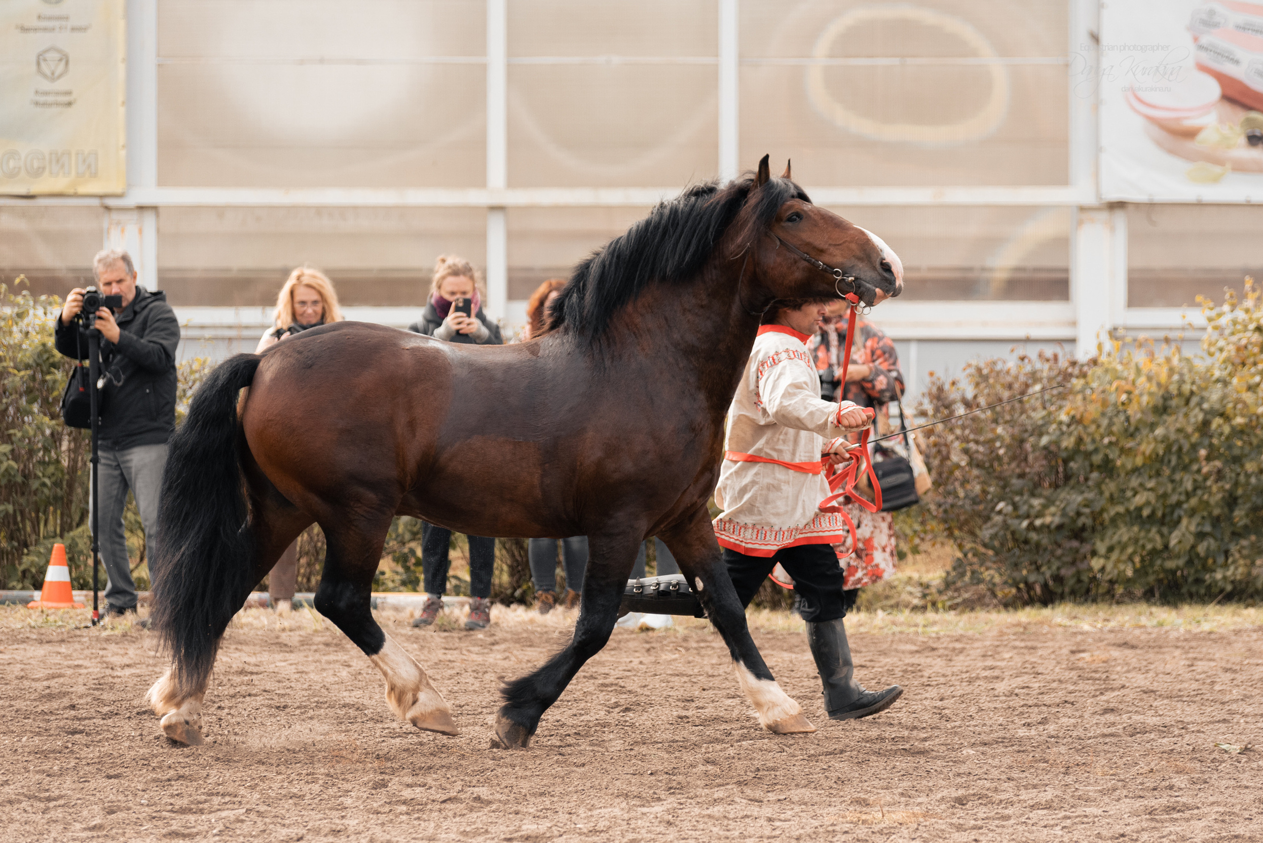 Богдарня. Конный фотограф Куракина Дарья • Фотосессии с лошадьми