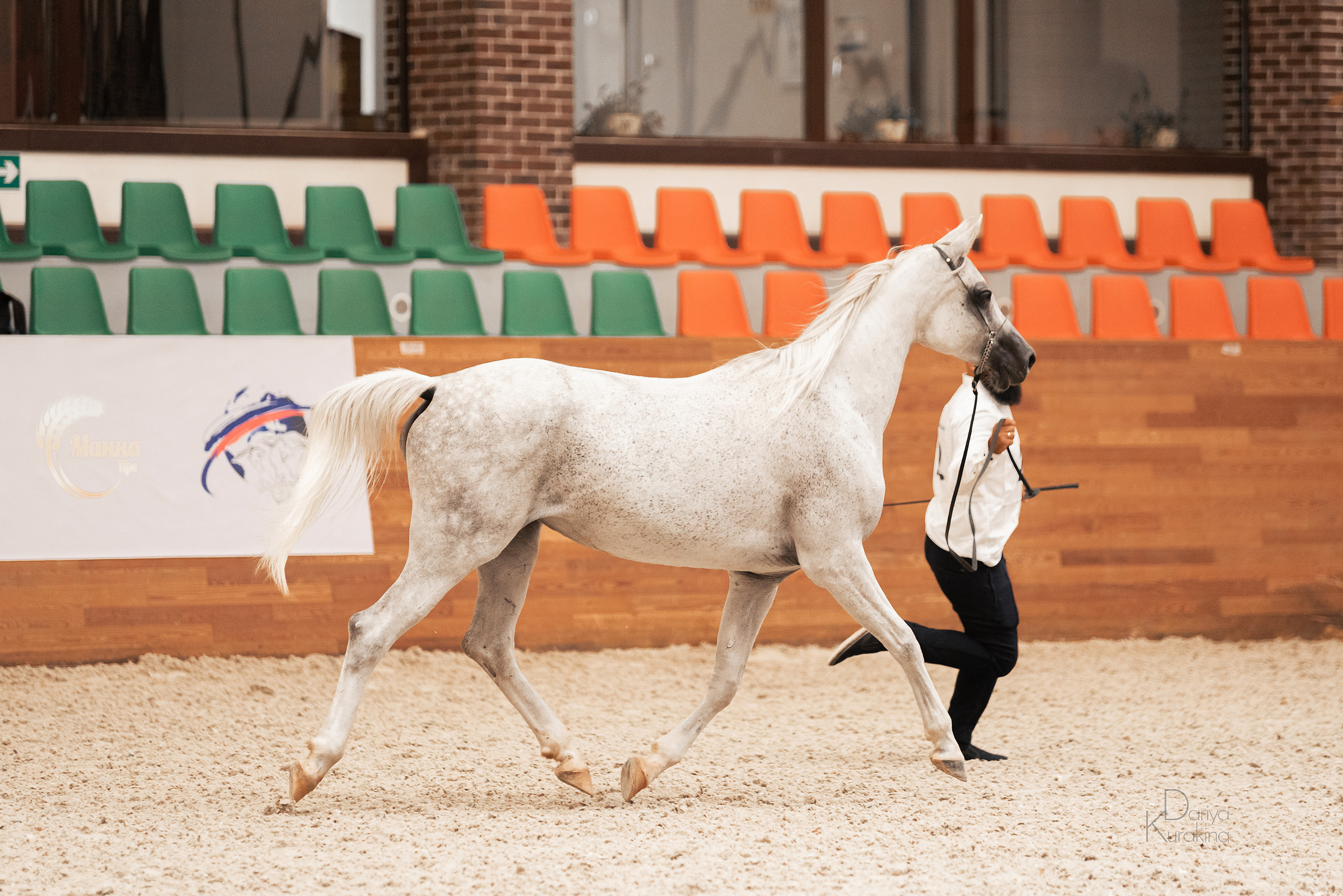 Конная Россия 2021. Конный фотограф Куракина Дарья • Фотосессии с лошадьми