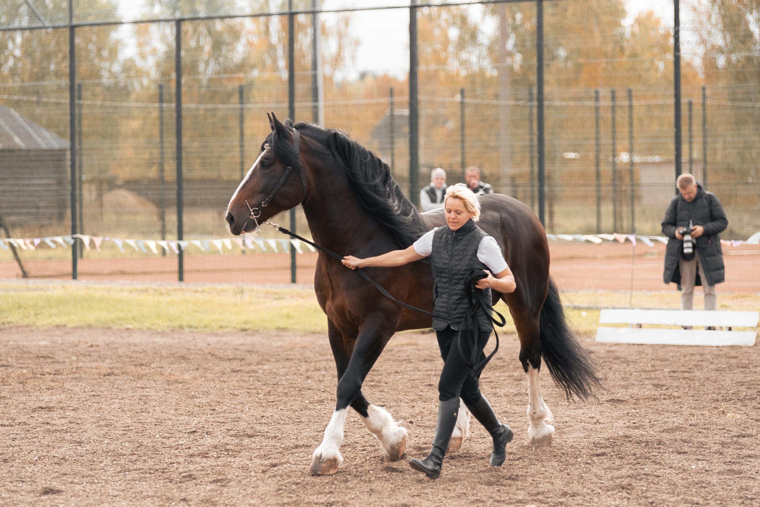 Богдарня. Конный фотограф Куракина Дарья • Фотосессии с лошадьми