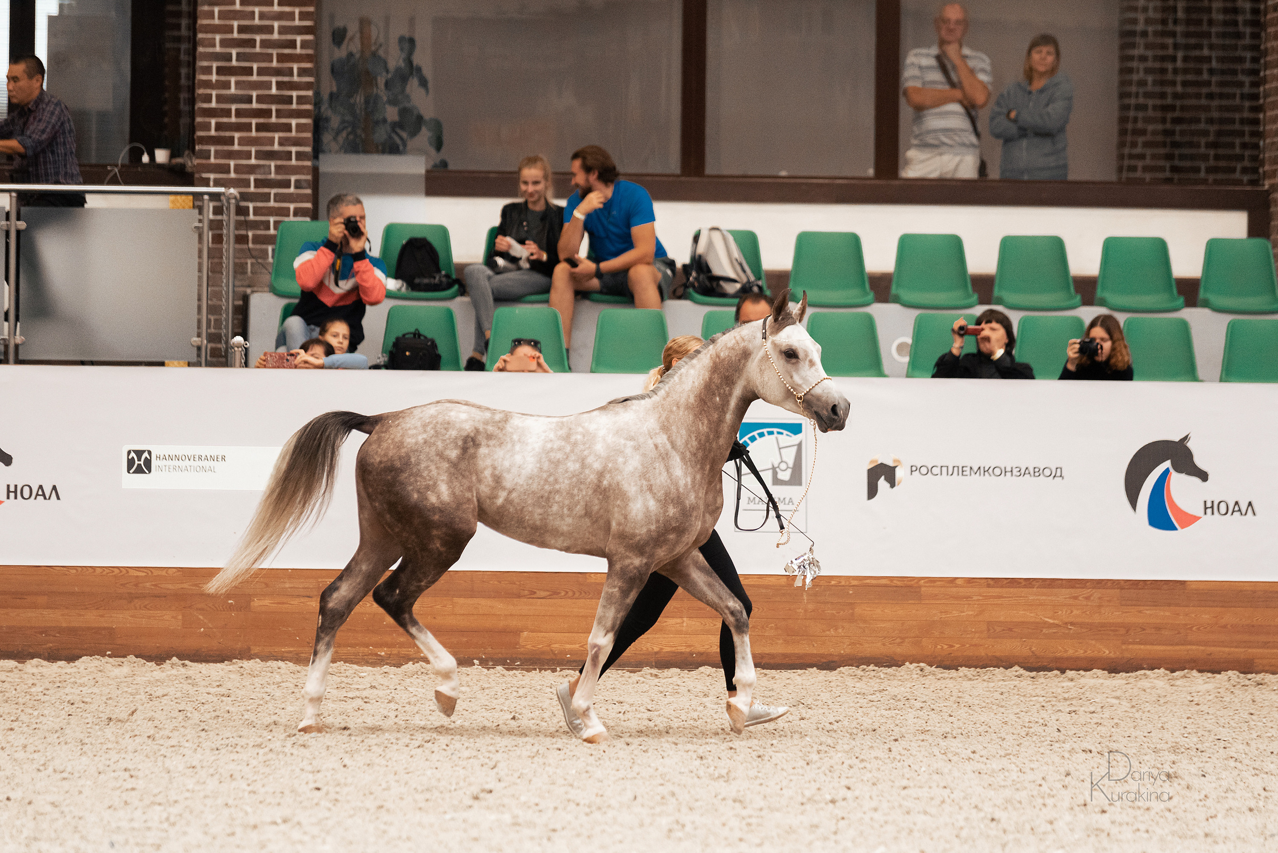 Конная Россия 2021. Конный фотограф Куракина Дарья • Фотосессии с лошадьми