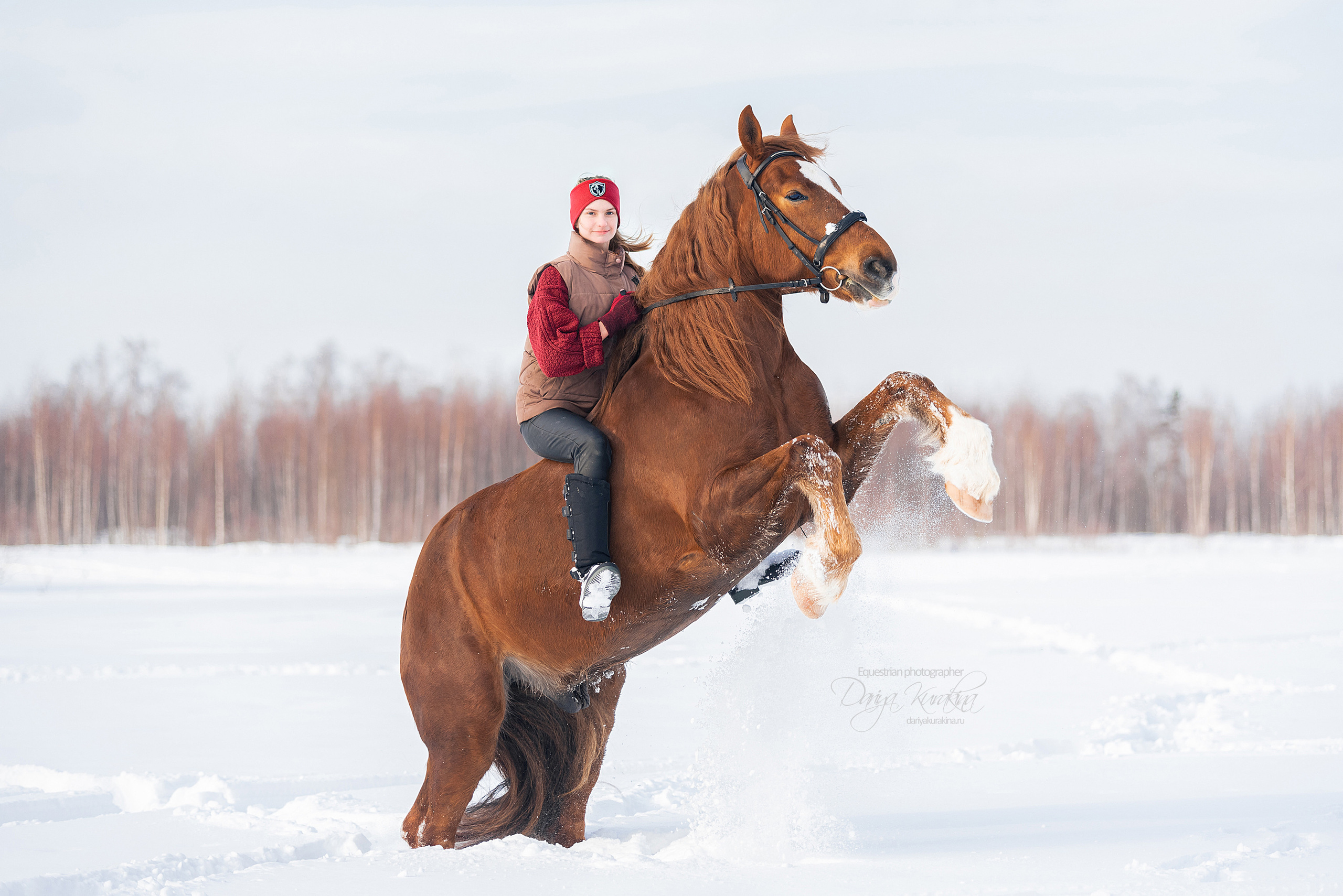 Лиза и Ригард. Конный фотограф Куракина Дарья • Фотосессии с лошадьми