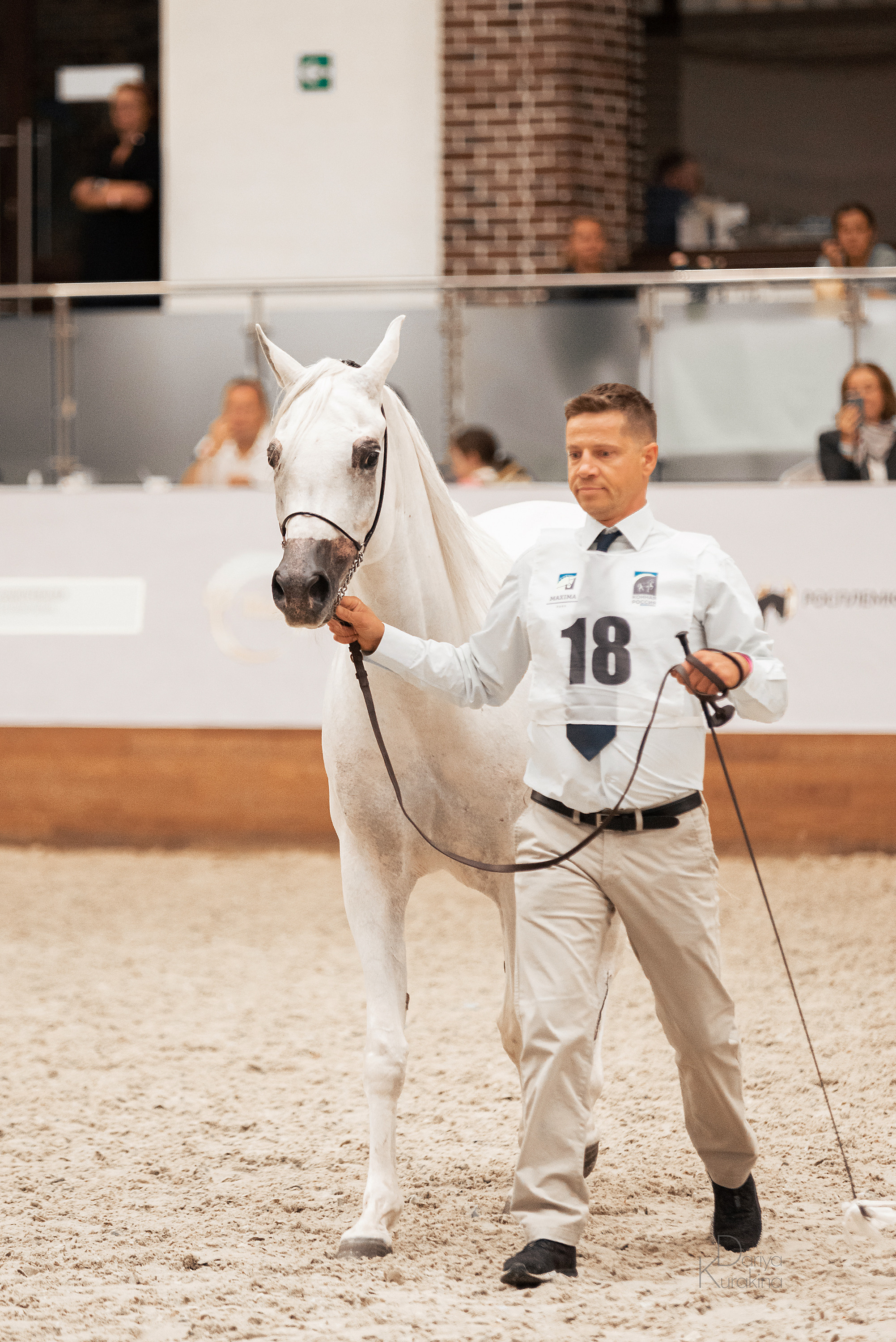 Конная Россия 2021. Конный фотограф Куракина Дарья • Фотосессии с лошадьми