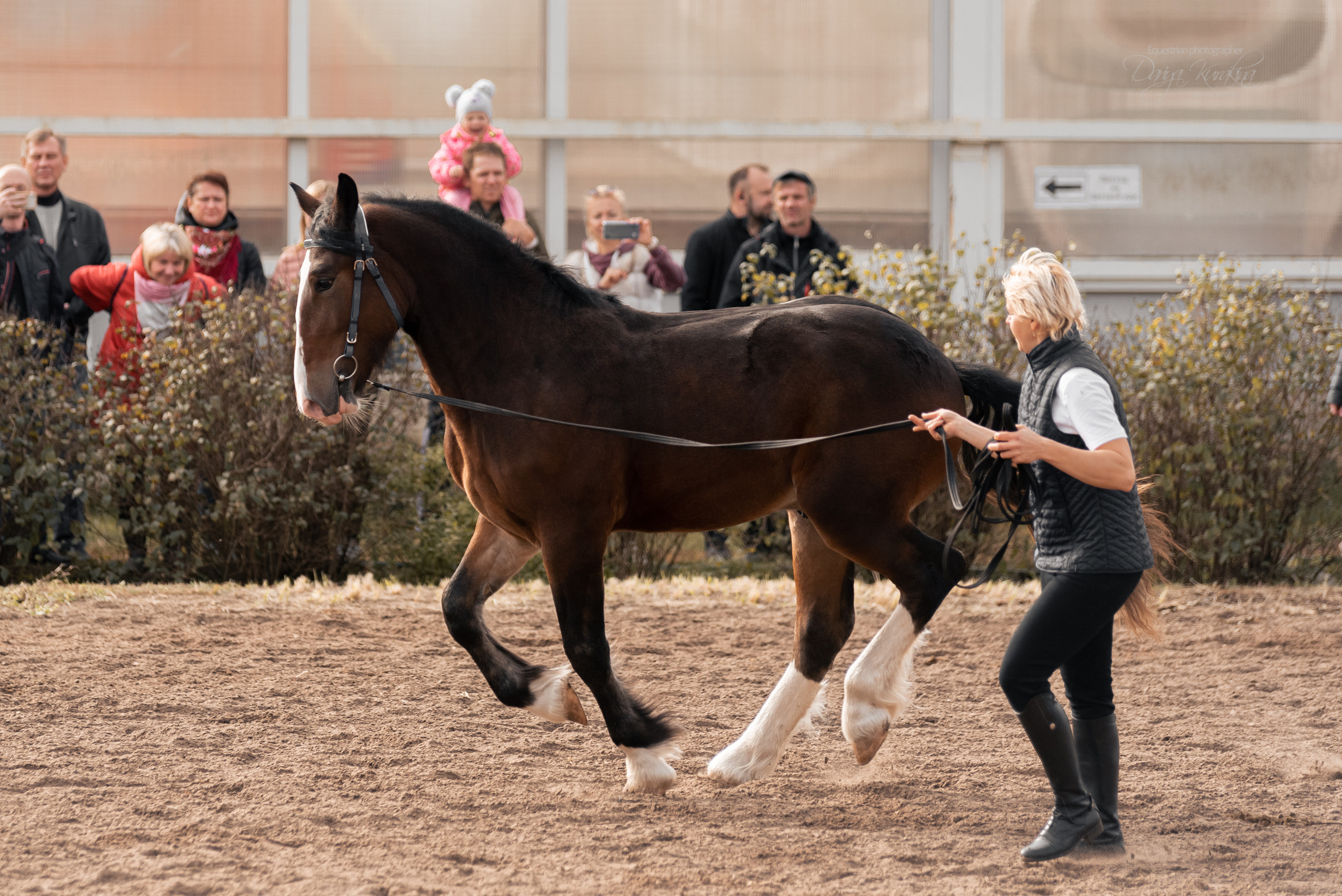 Богдарня. Конный фотограф Куракина Дарья • Фотосессии с лошадьми