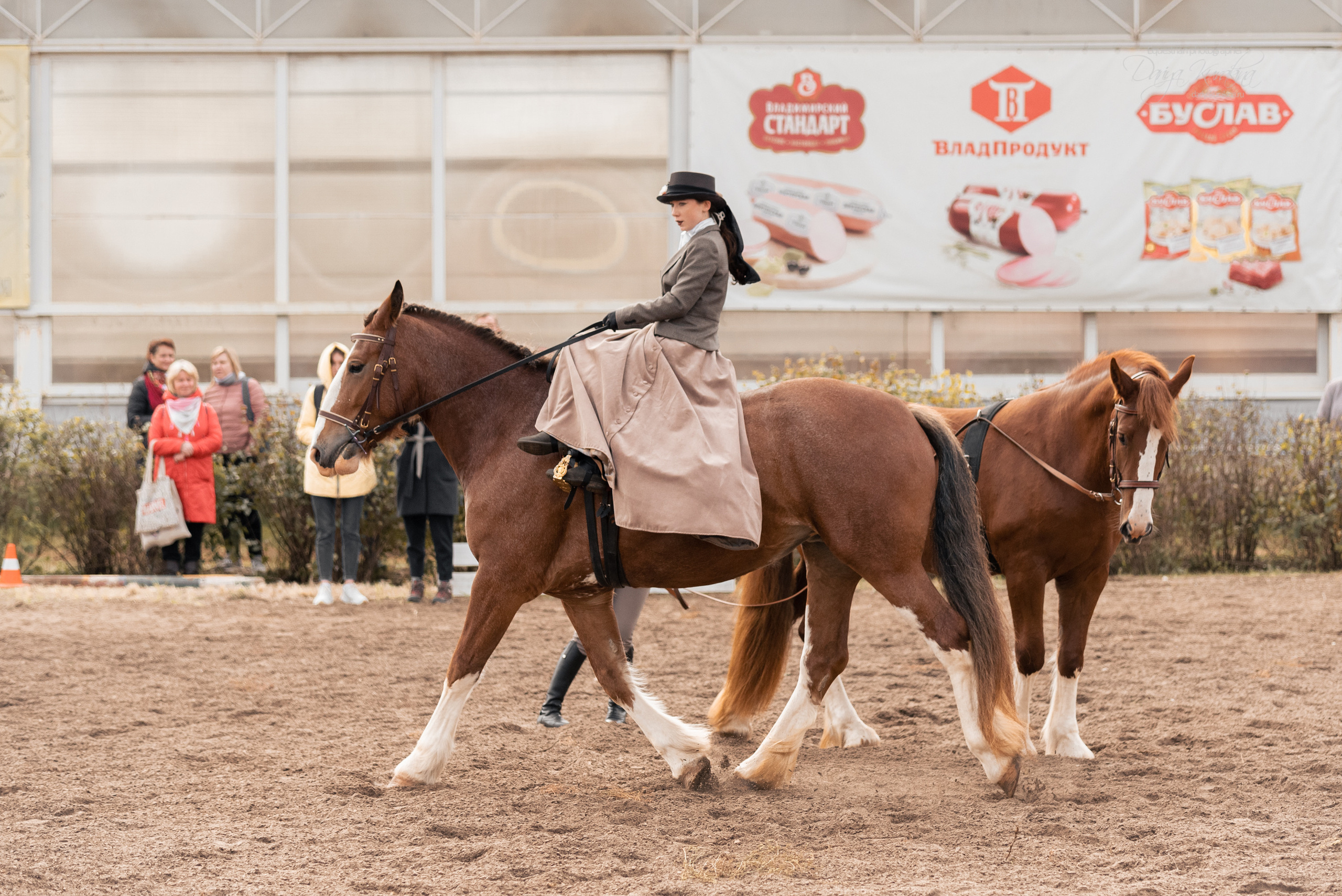 Богдарня. Конный фотограф Куракина Дарья • Фотосессии с лошадьми