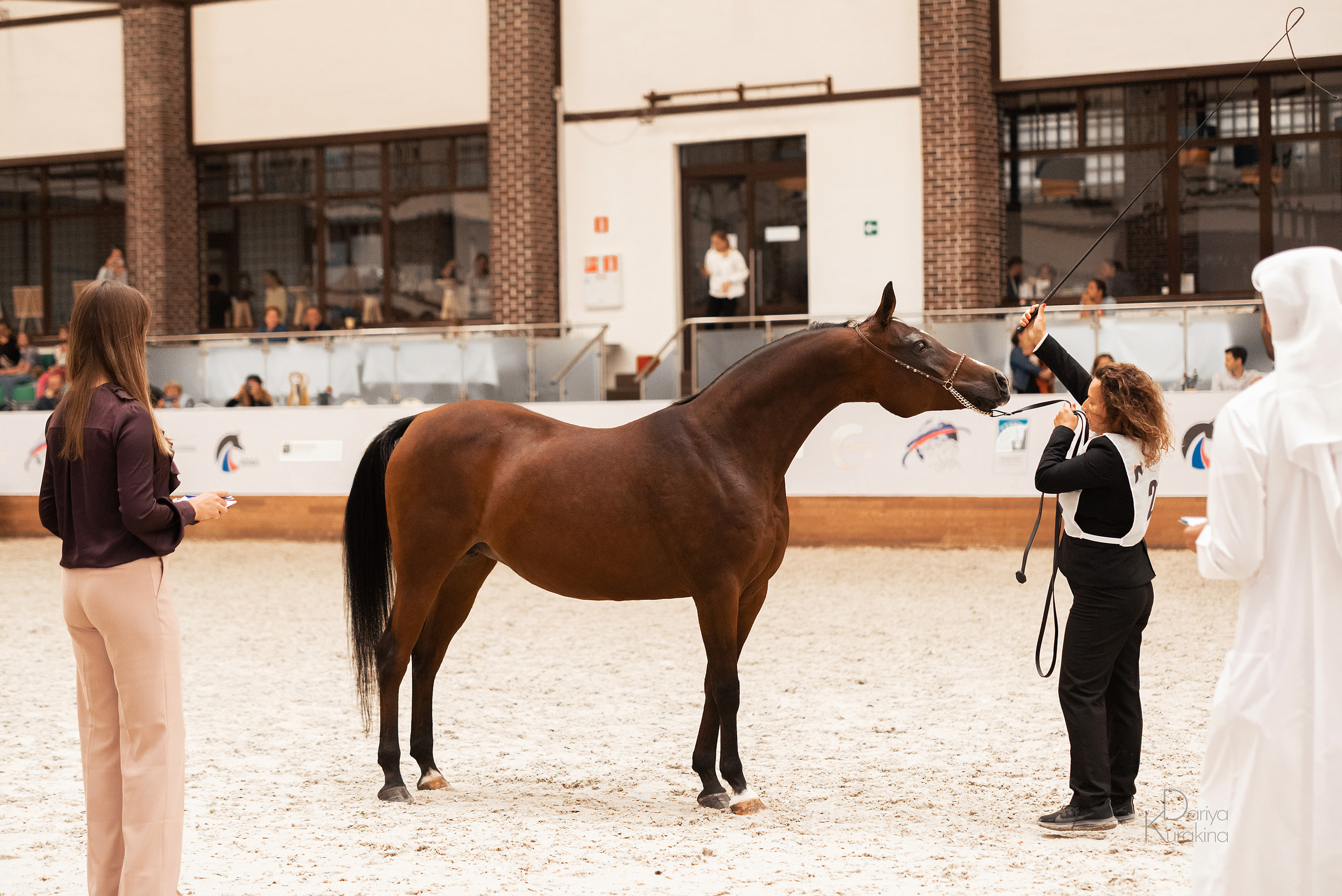 Конная Россия 2021. Конный фотограф Куракина Дарья • Фотосессии с лошадьми