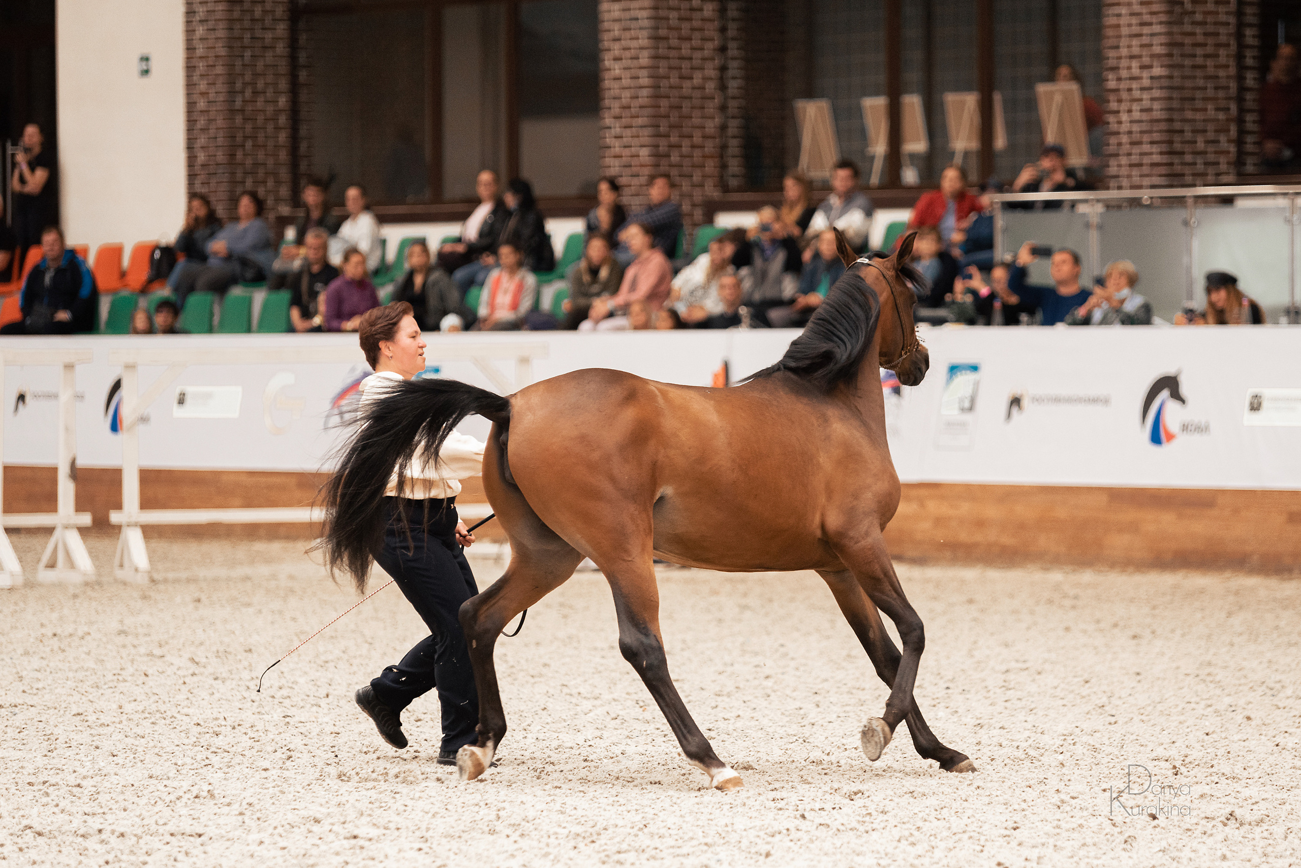 Конная Россия 2021. Конный фотограф Куракина Дарья • Фотосессии с лошадьми