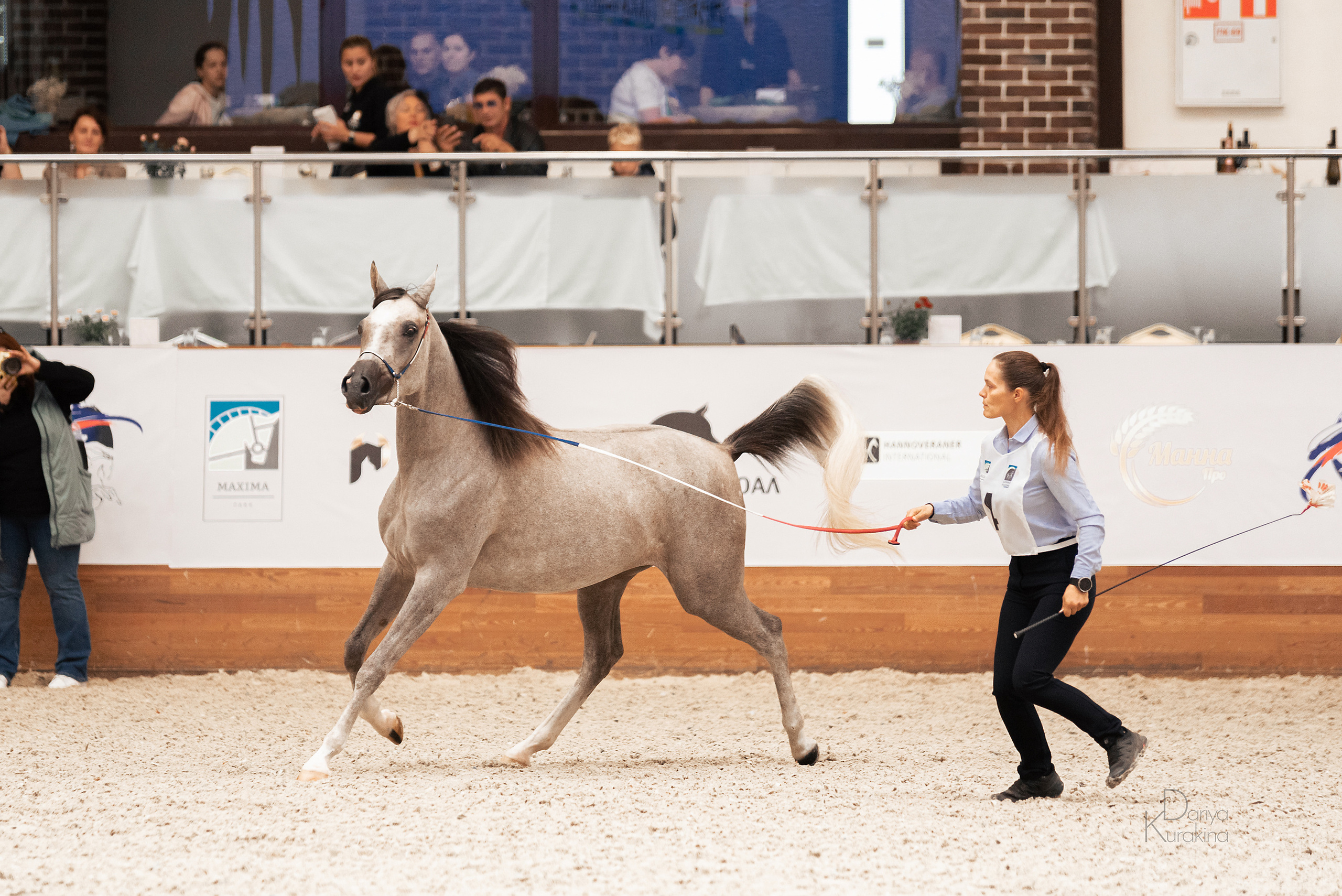Конная Россия 2021. Конный фотограф Куракина Дарья • Фотосессии с лошадьми