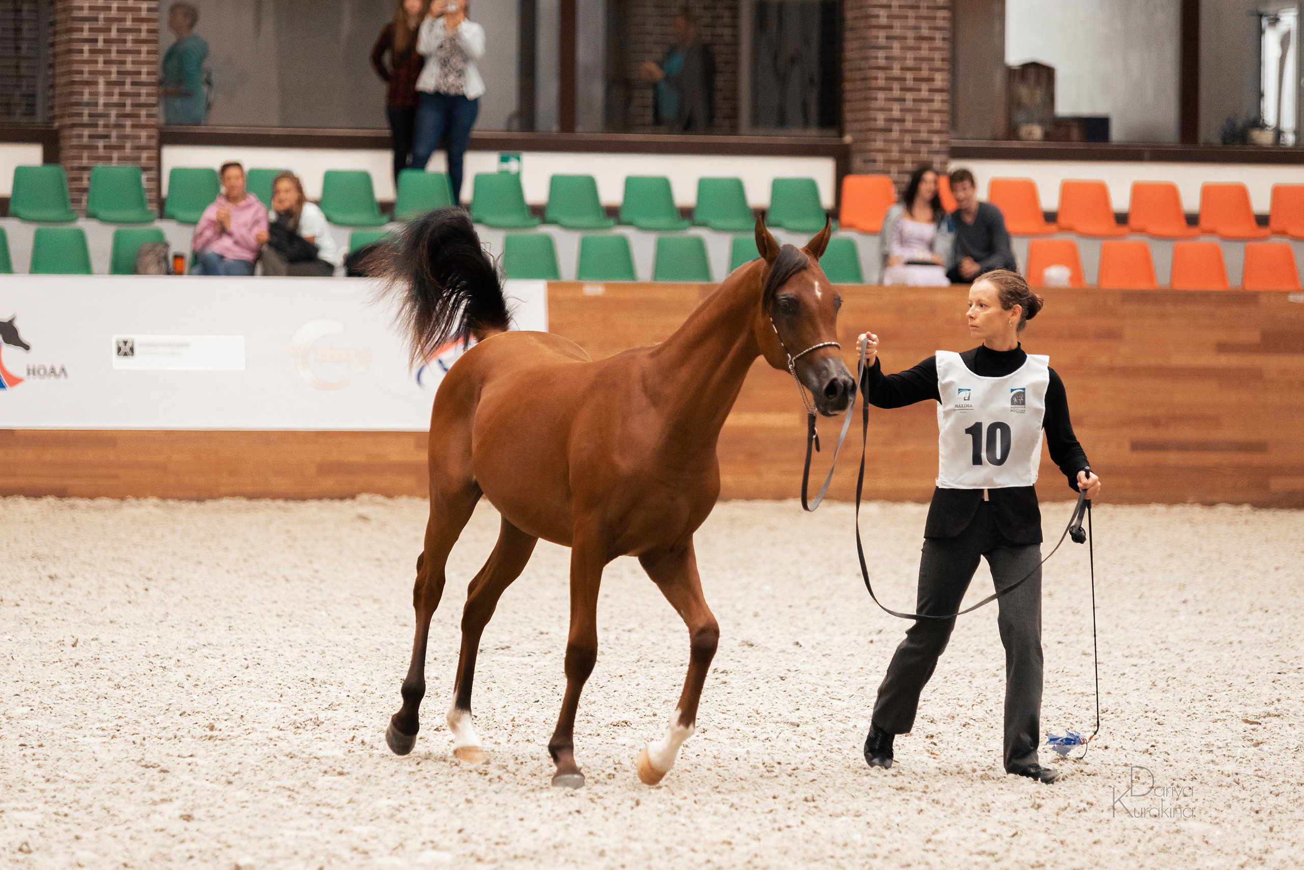 Конная Россия 2021. Конный фотограф Куракина Дарья • Фотосессии с лошадьми