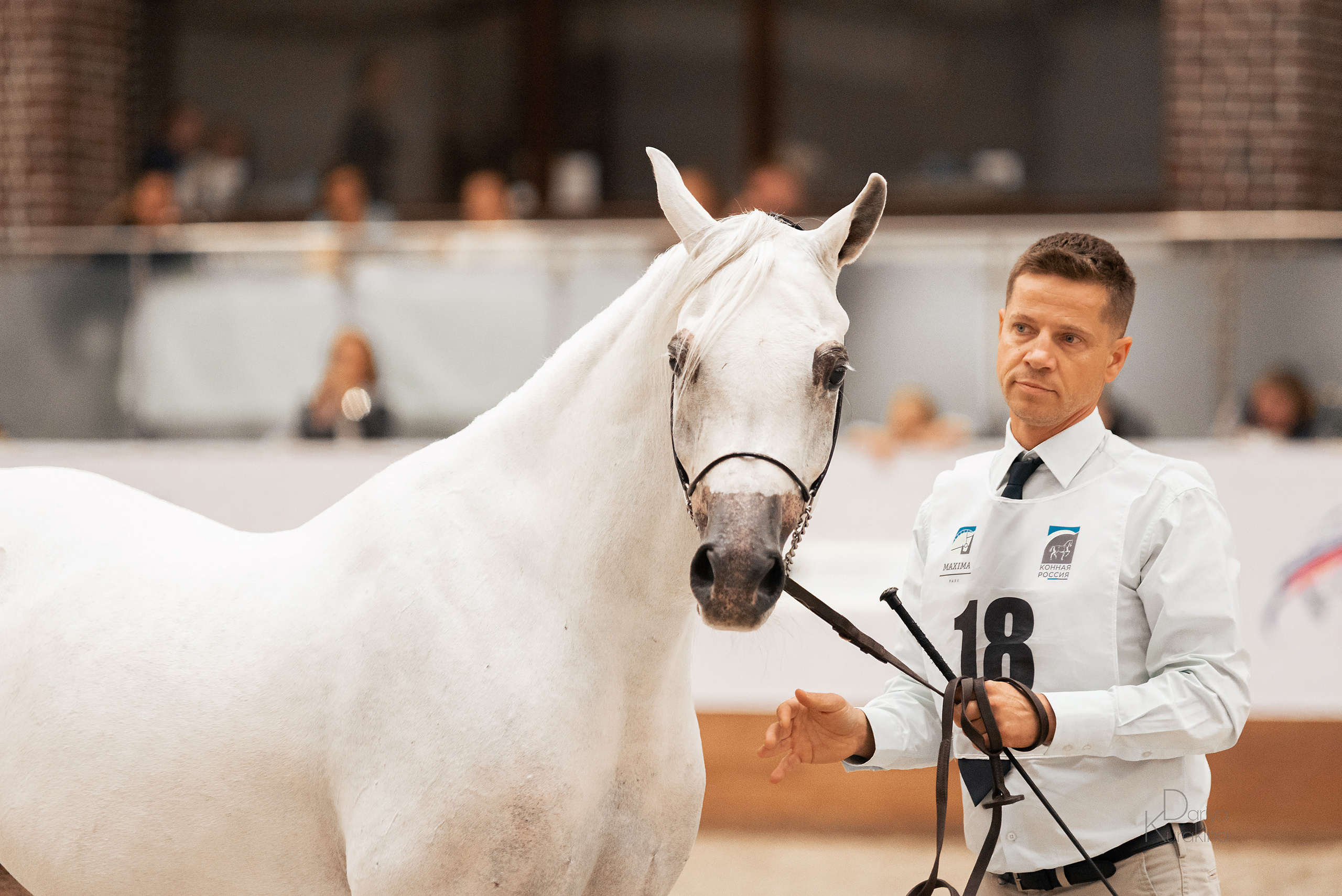 Конная Россия 2021. Конный фотограф Куракина Дарья • Фотосессии с лошадьми