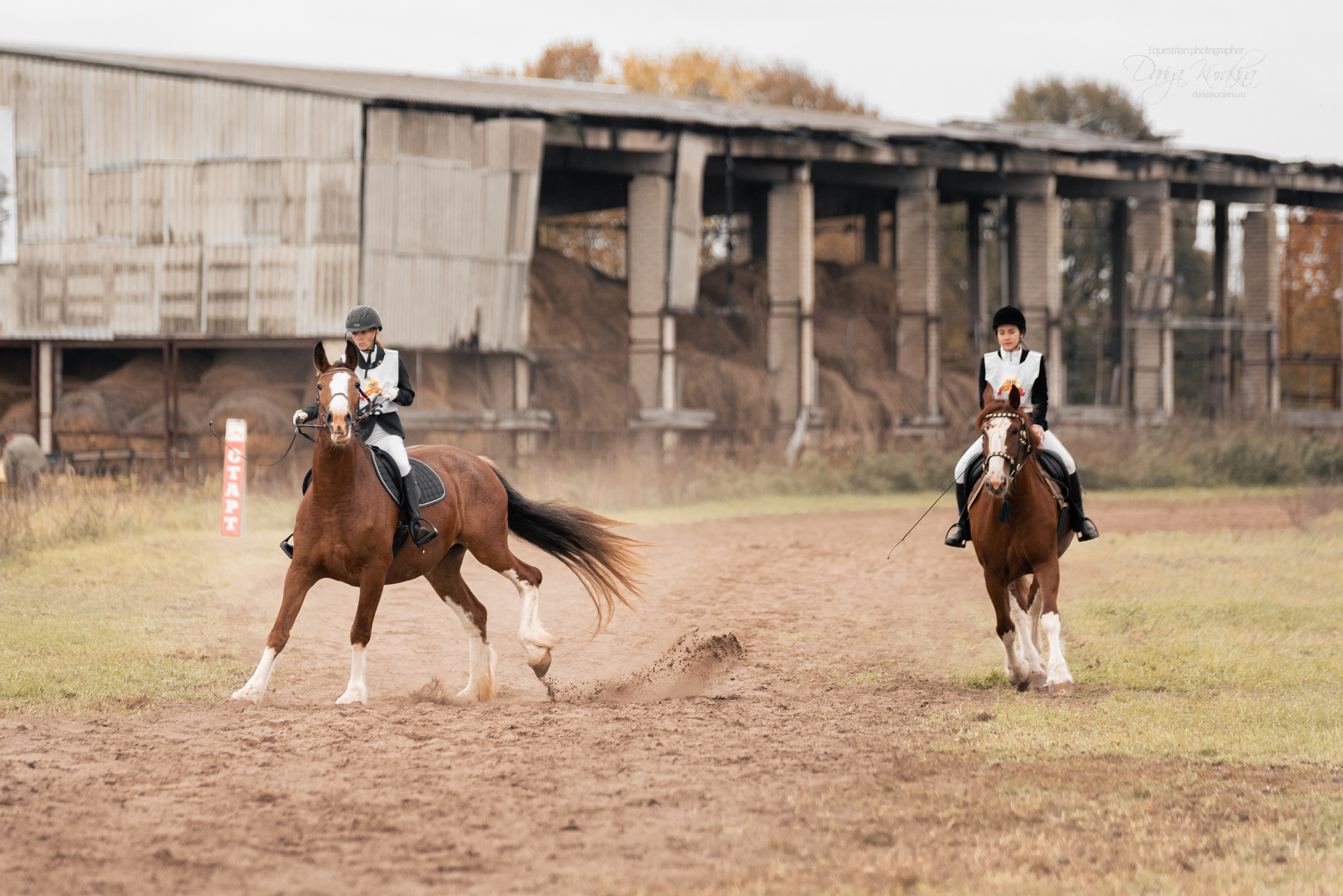 Богдарня. Конный фотограф Куракина Дарья • Фотосессии с лошадьми