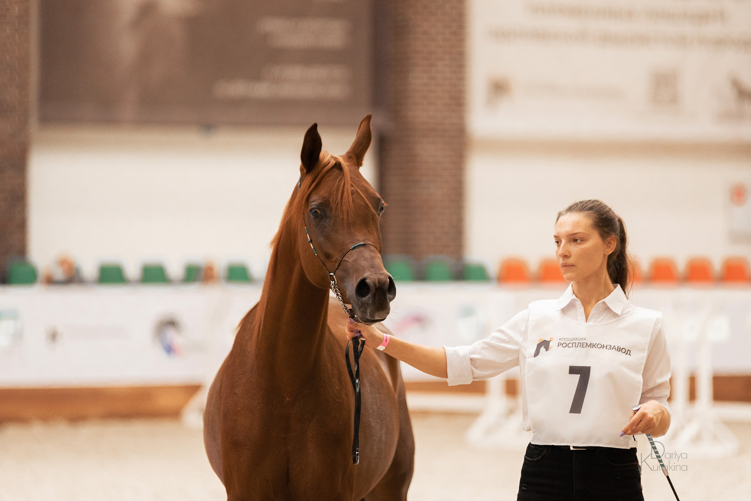 Конная Россия 2021. Конный фотограф Куракина Дарья • Фотосессии с лошадьми