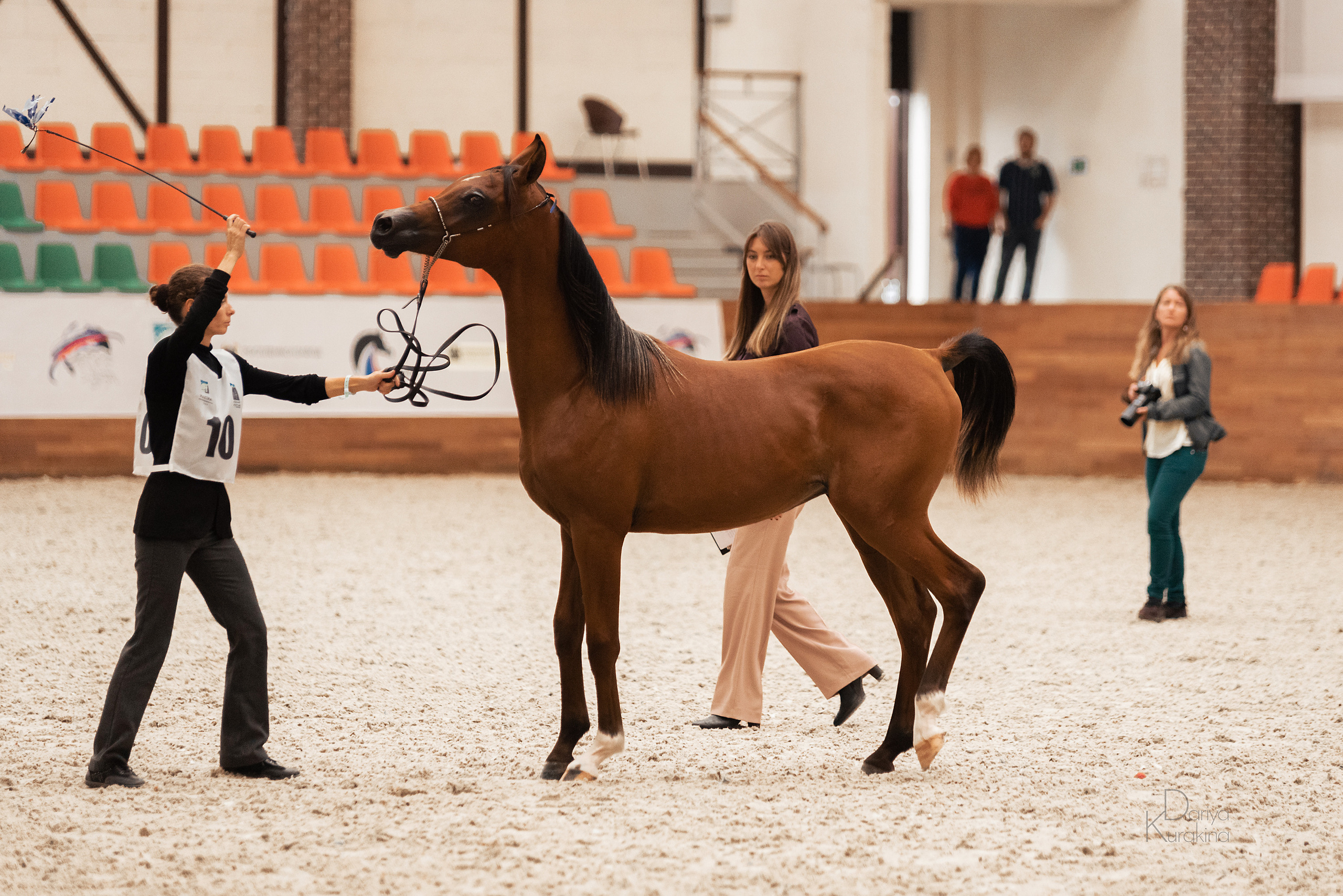 Конная Россия 2021. Конный фотограф Куракина Дарья • Фотосессии с лошадьми