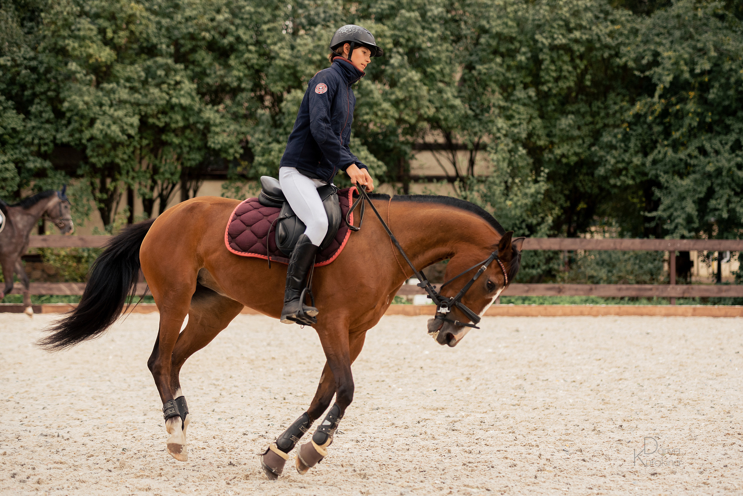 КСК Белая Дача, конкур. Конный фотограф Куракина Дарья • Фотосессии с лошадьми
