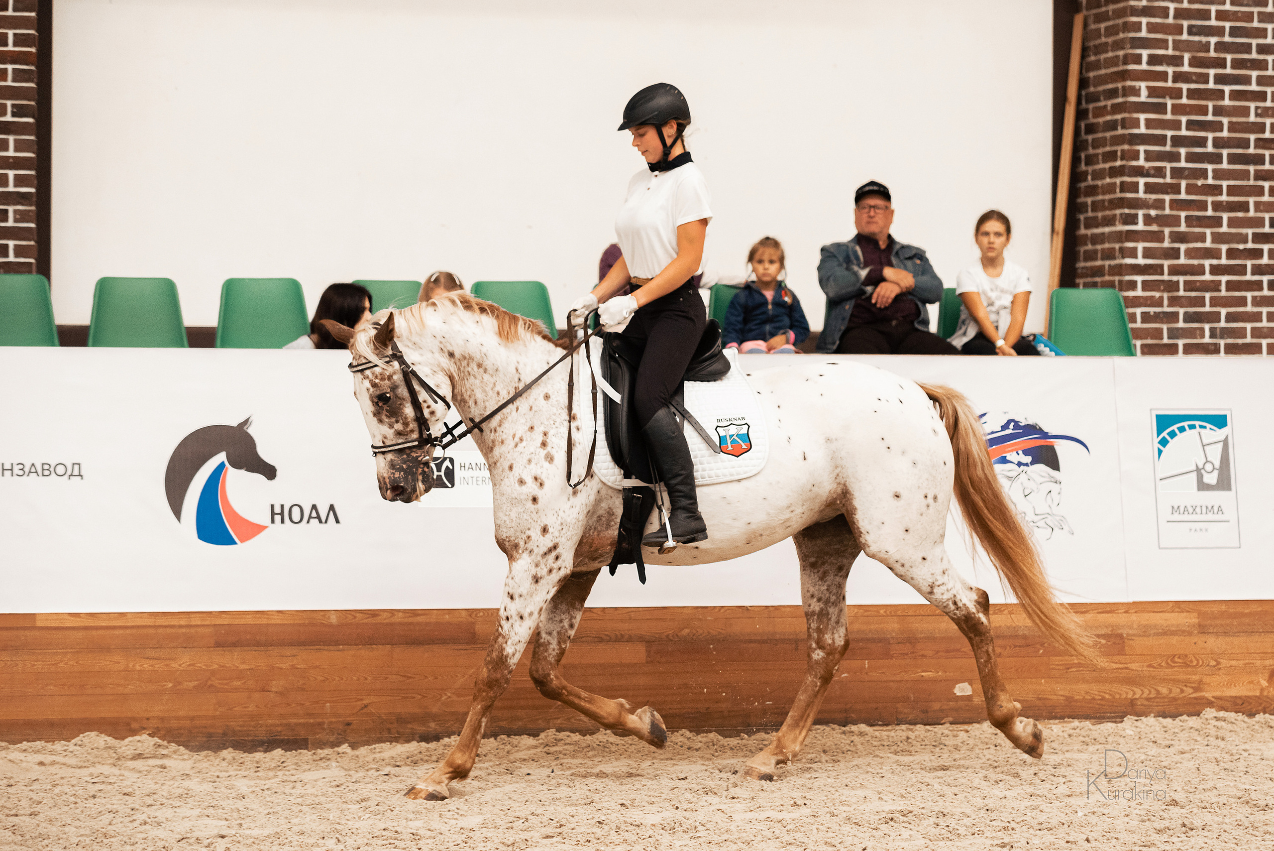 Конная Россия 2021. Конный фотограф Куракина Дарья • Фотосессии с лошадьми