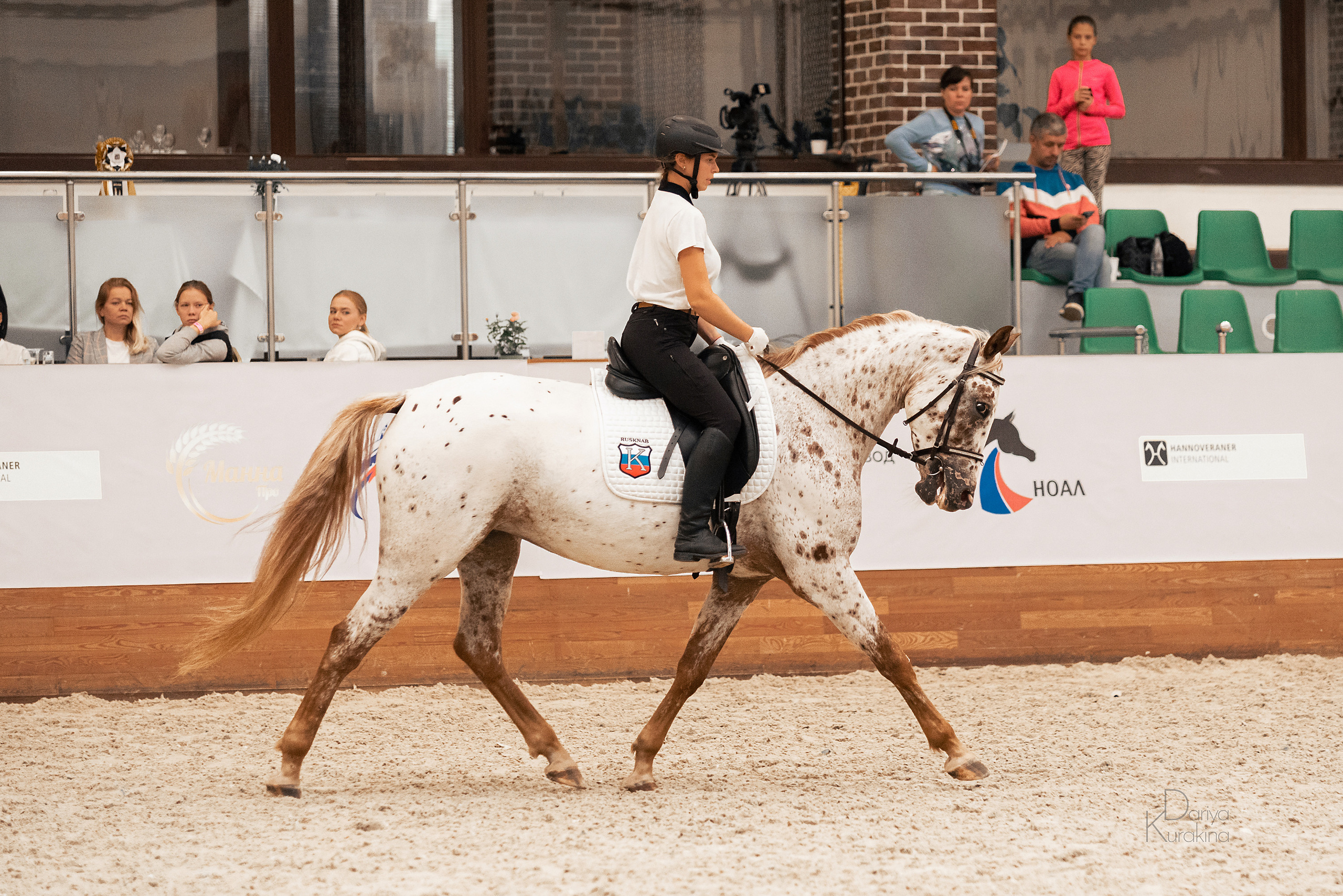 Конная Россия 2021. Конный фотограф Куракина Дарья • Фотосессии с лошадьми
