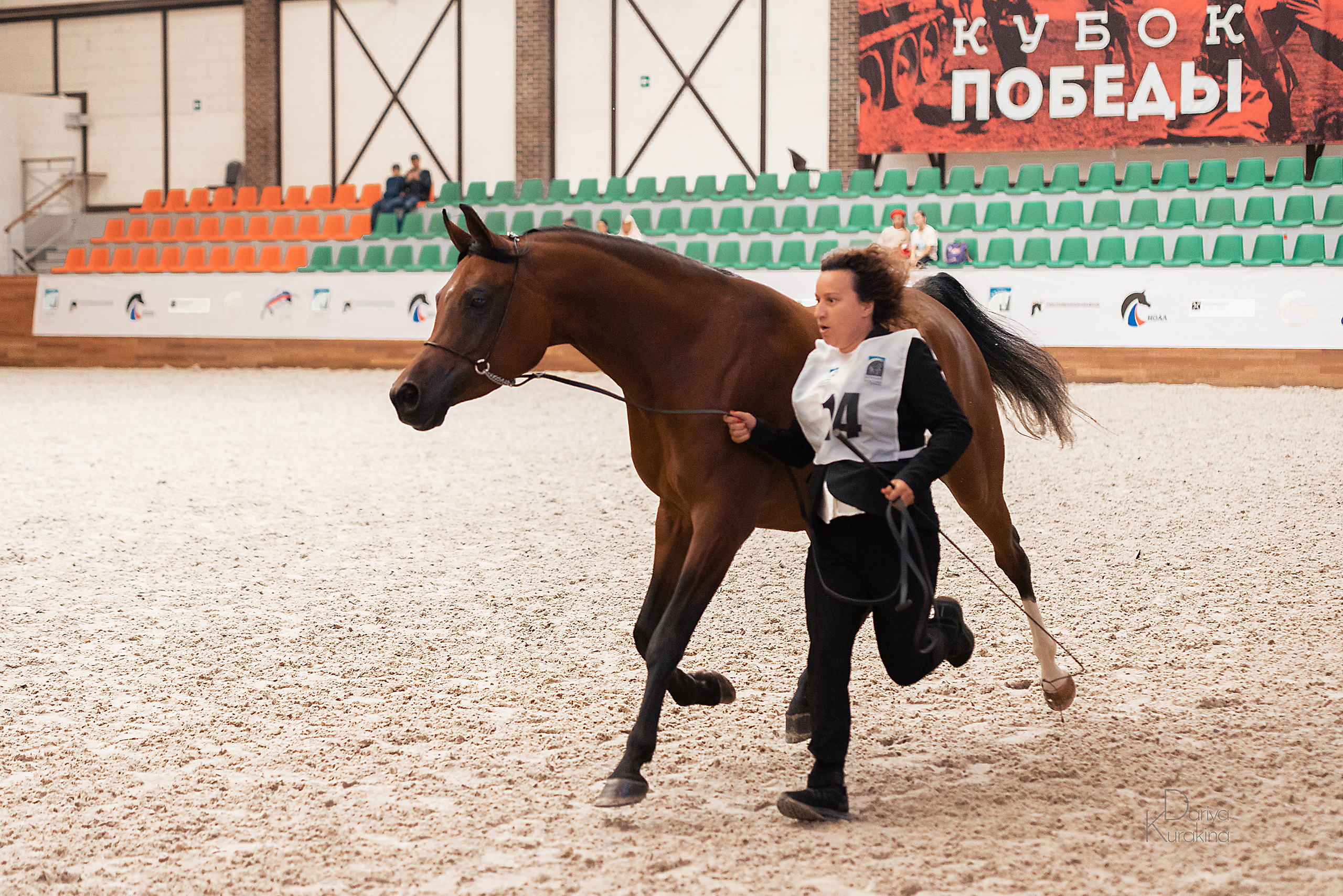 Конная Россия 2021. Конный фотограф Куракина Дарья • Фотосессии с лошадьми