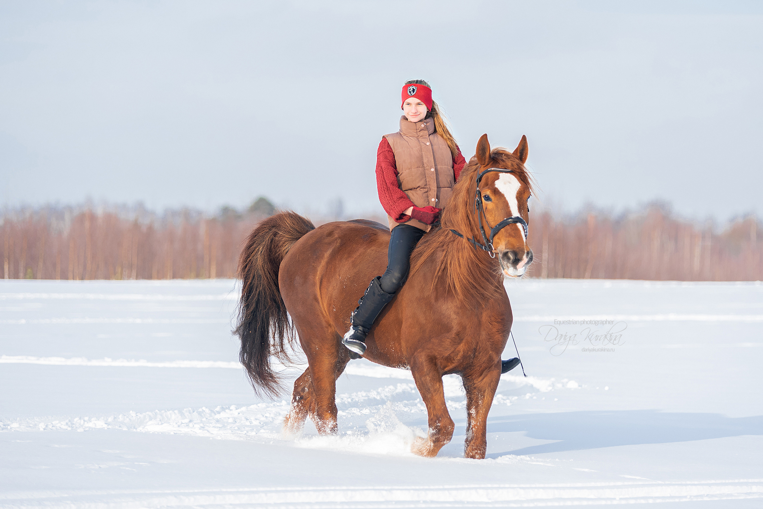 Лиза и Ригард. Конный фотограф Куракина Дарья • Фотосессии с лошадьми