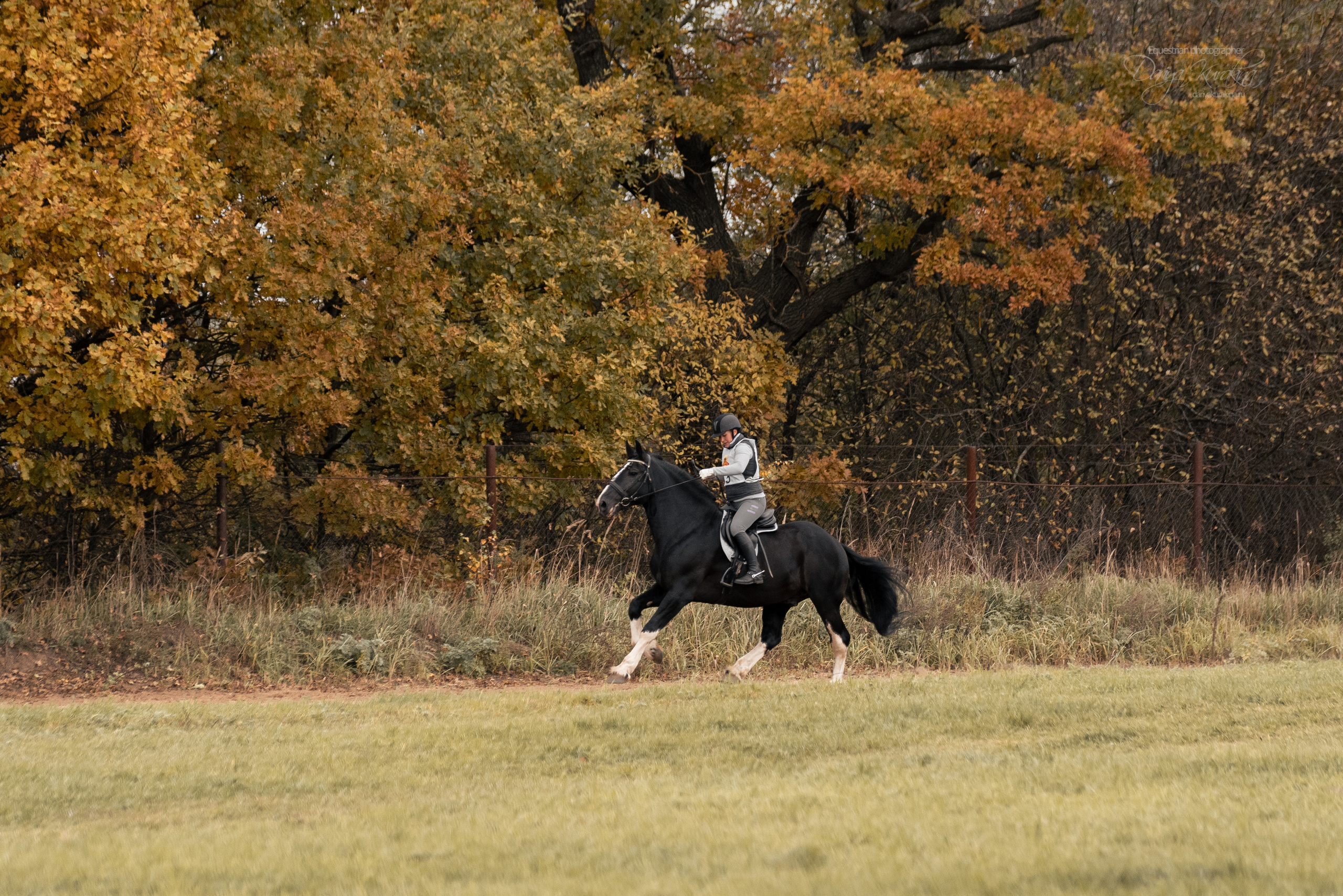 Богдарня. Конный фотограф Куракина Дарья • Фотосессии с лошадьми