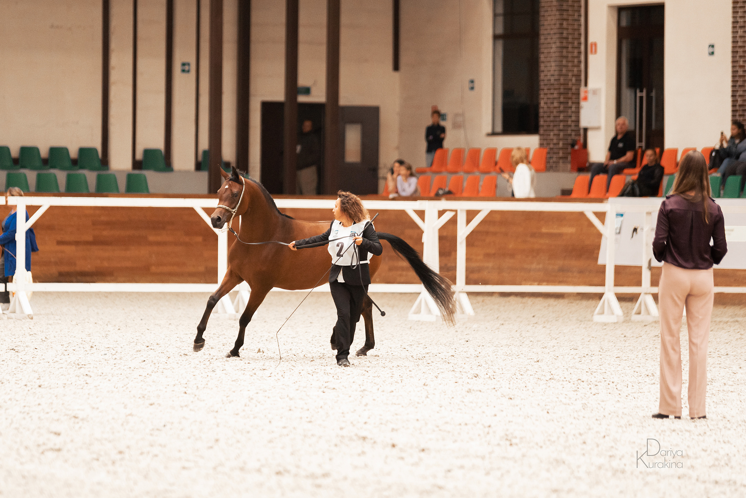Конная Россия 2021. Конный фотограф Куракина Дарья • Фотосессии с лошадьми