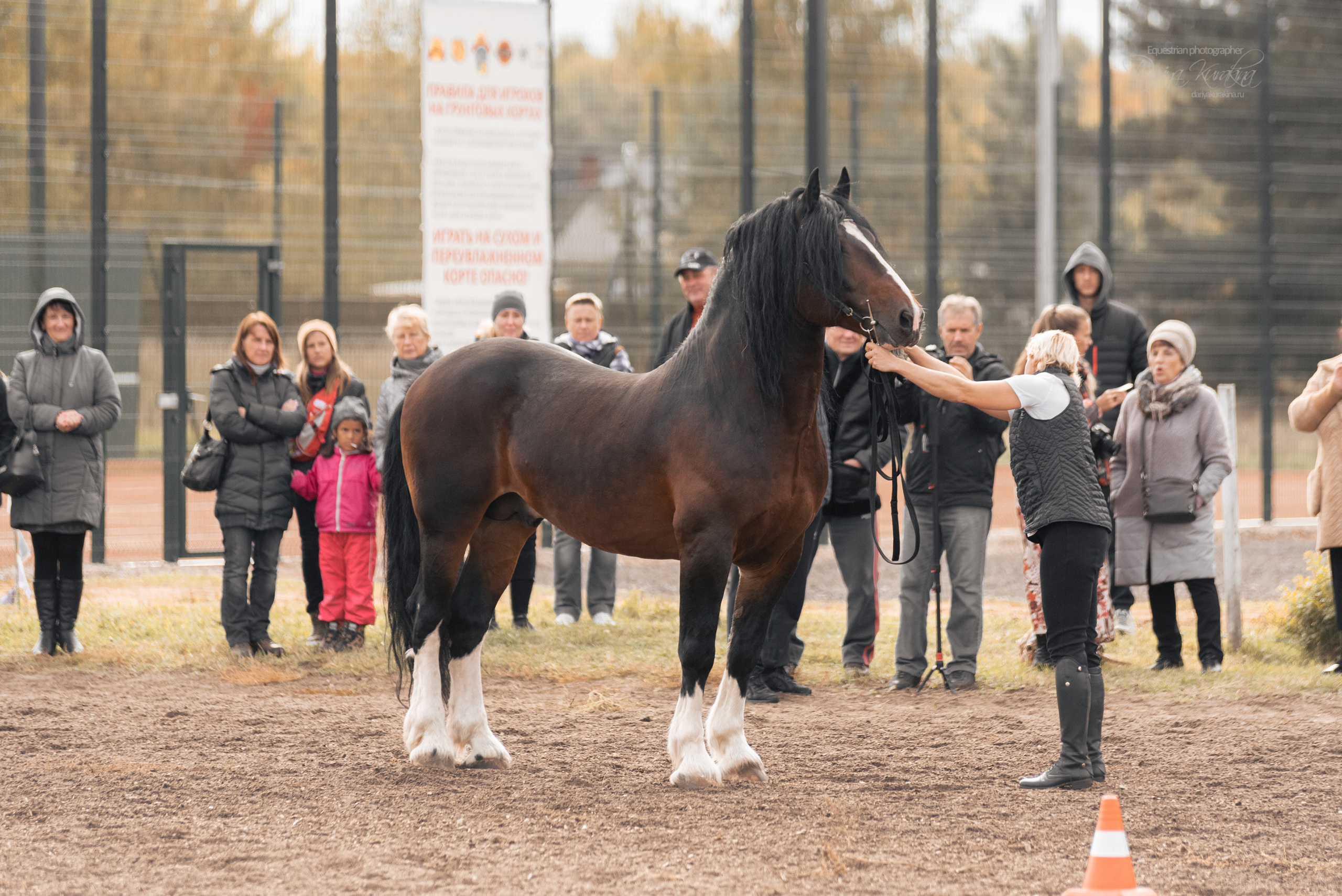 Богдарня. Конный фотограф Куракина Дарья • Фотосессии с лошадьми