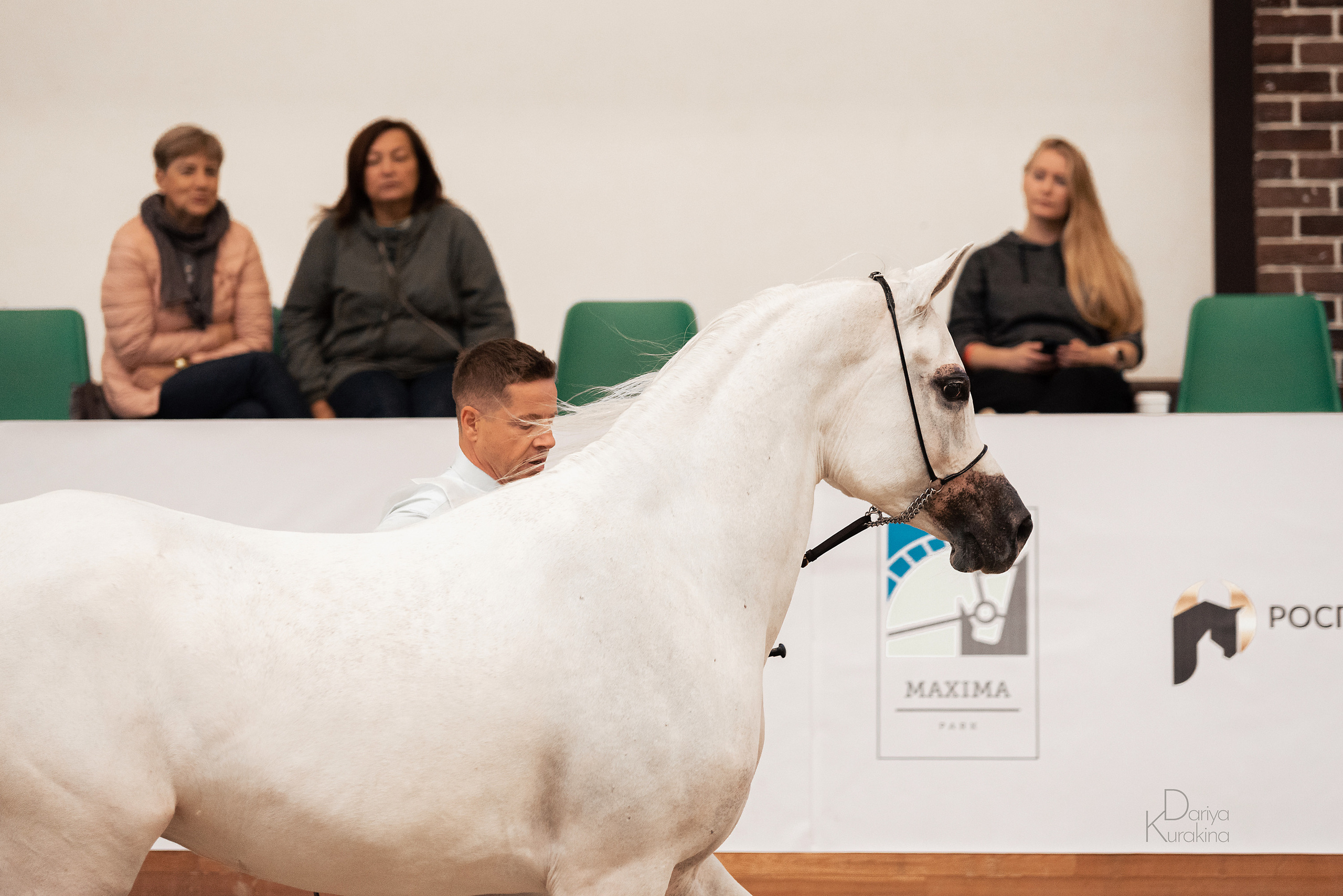 Конная Россия 2021. Конный фотограф Куракина Дарья • Фотосессии с лошадьми