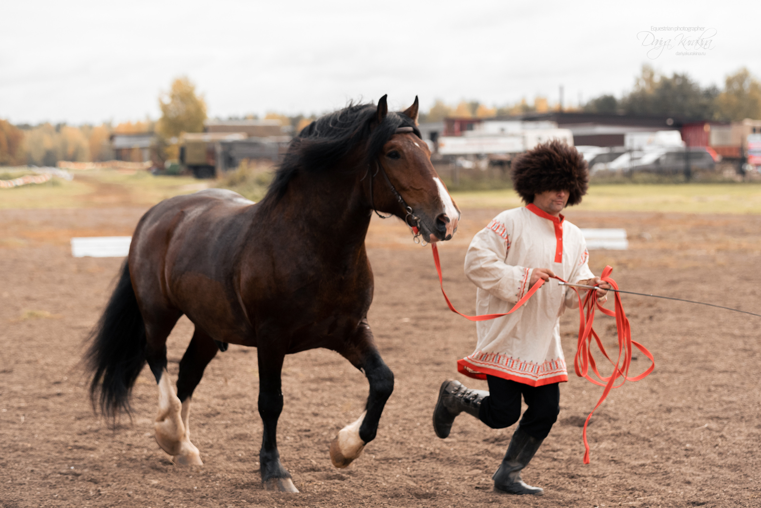 Богдарня. Конный фотограф Куракина Дарья • Фотосессии с лошадьми