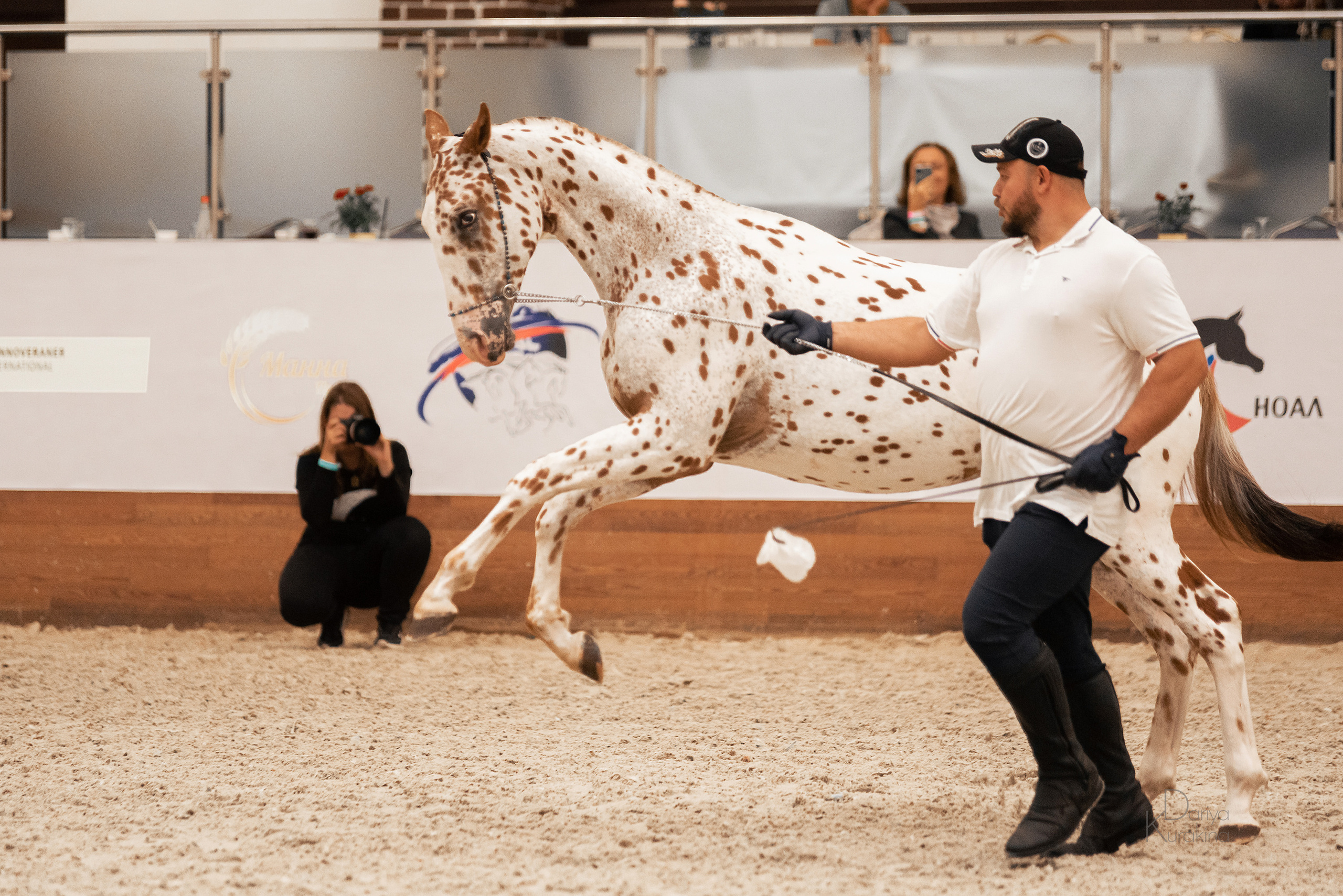 Конная Россия 2021. Конный фотограф Куракина Дарья • Фотосессии с лошадьми
