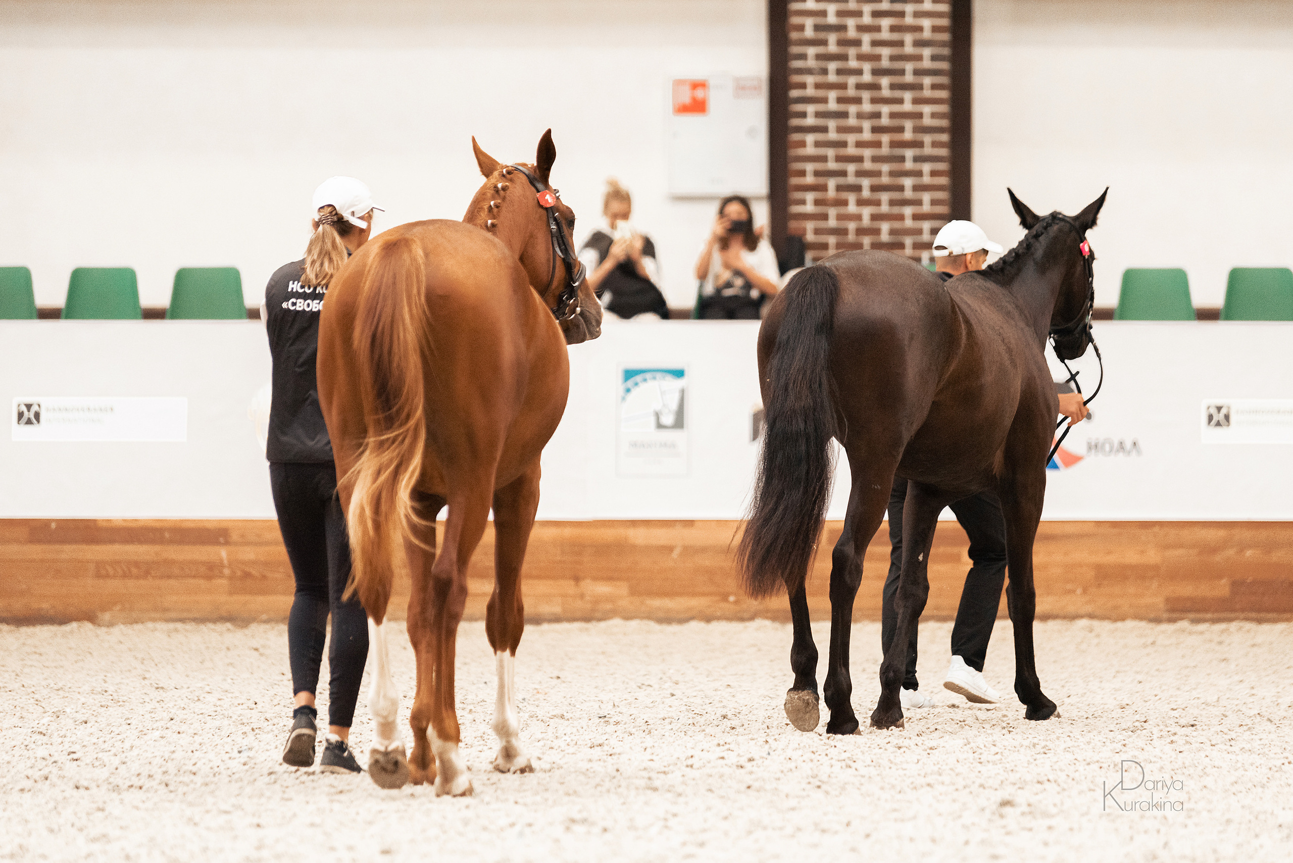 Конная Россия 2021. Конный фотограф Куракина Дарья • Фотосессии с лошадьми