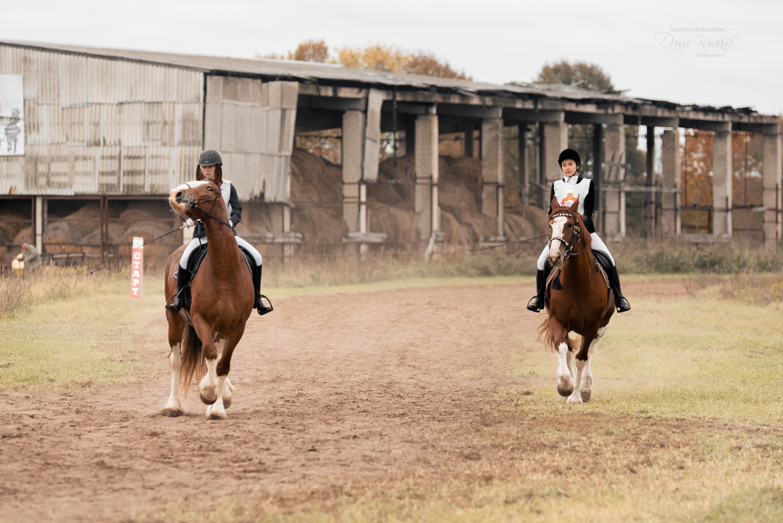 Богдарня. Конный фотограф Куракина Дарья • Фотосессии с лошадьми
