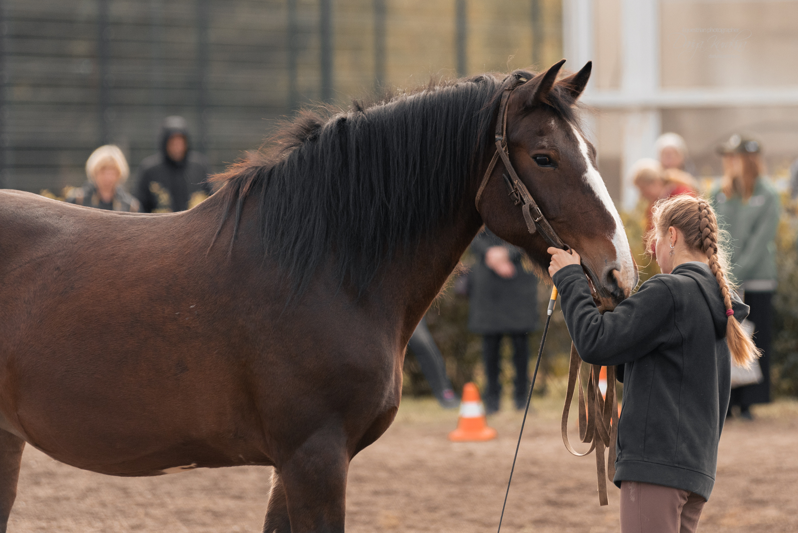 Богдарня. Конный фотограф Куракина Дарья • Фотосессии с лошадьми