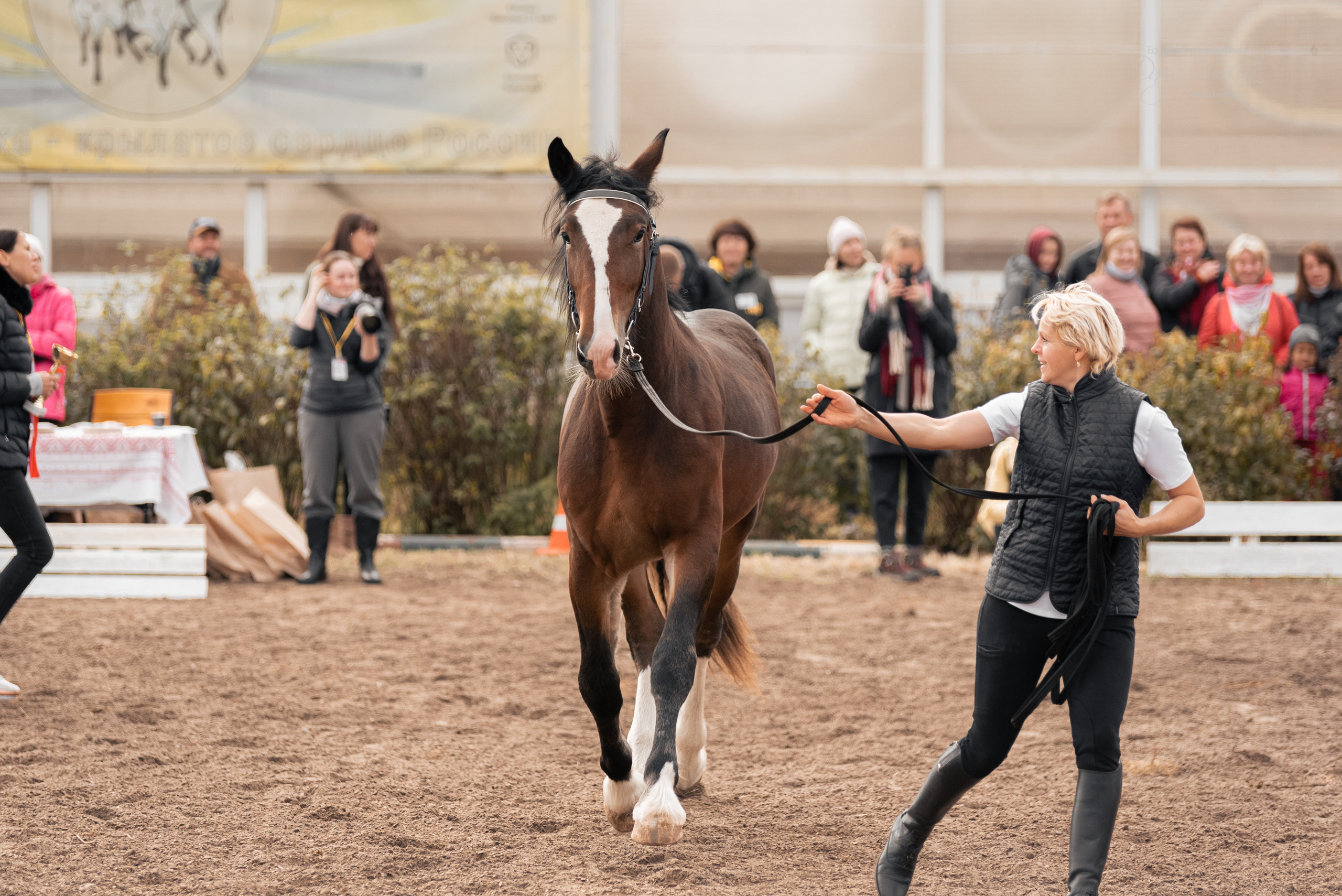 Богдарня. Конный фотограф Куракина Дарья • Фотосессии с лошадьми