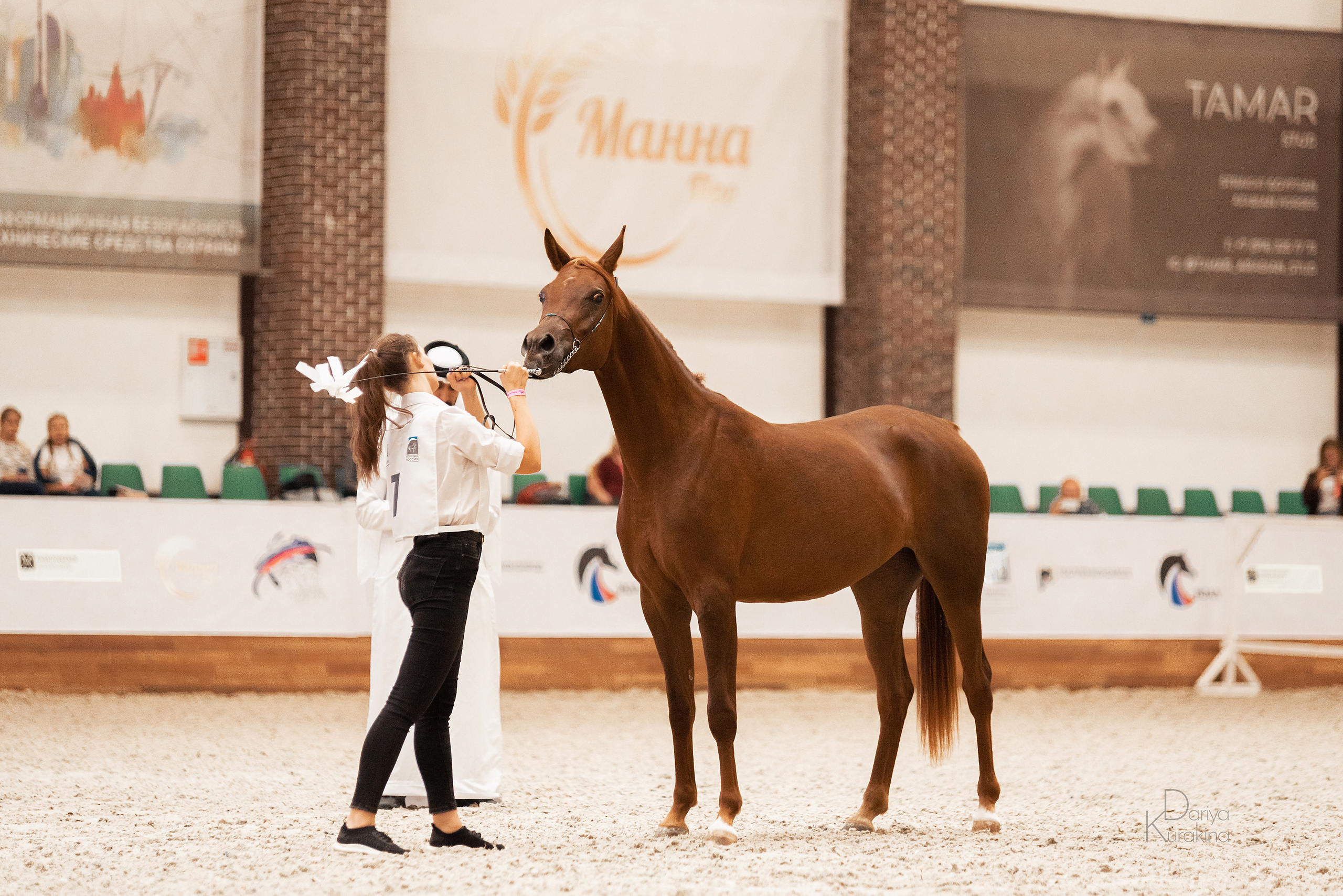 Конная Россия 2021. Конный фотограф Куракина Дарья • Фотосессии с лошадьми