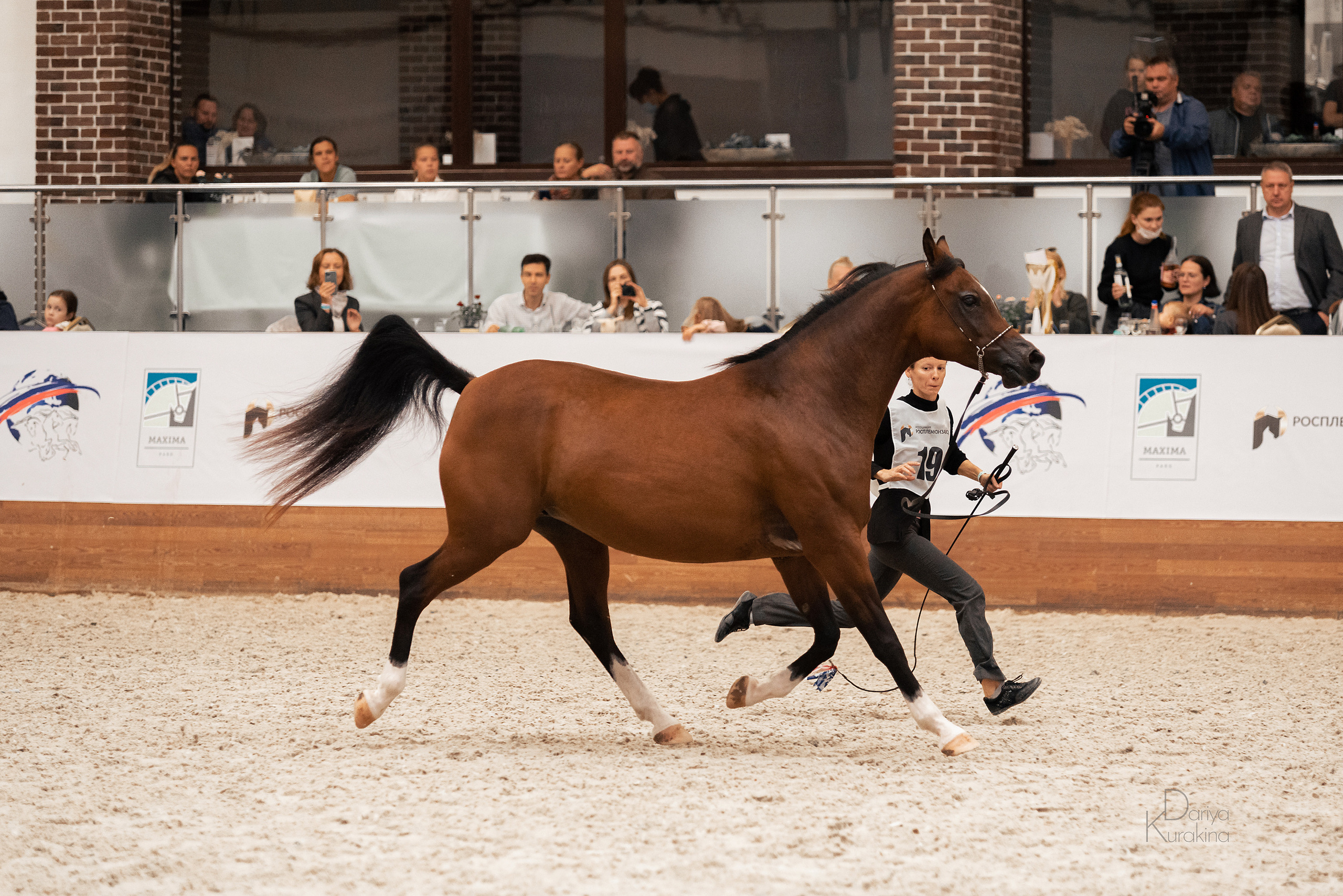 Конная Россия 2021. Конный фотограф Куракина Дарья • Фотосессии с лошадьми