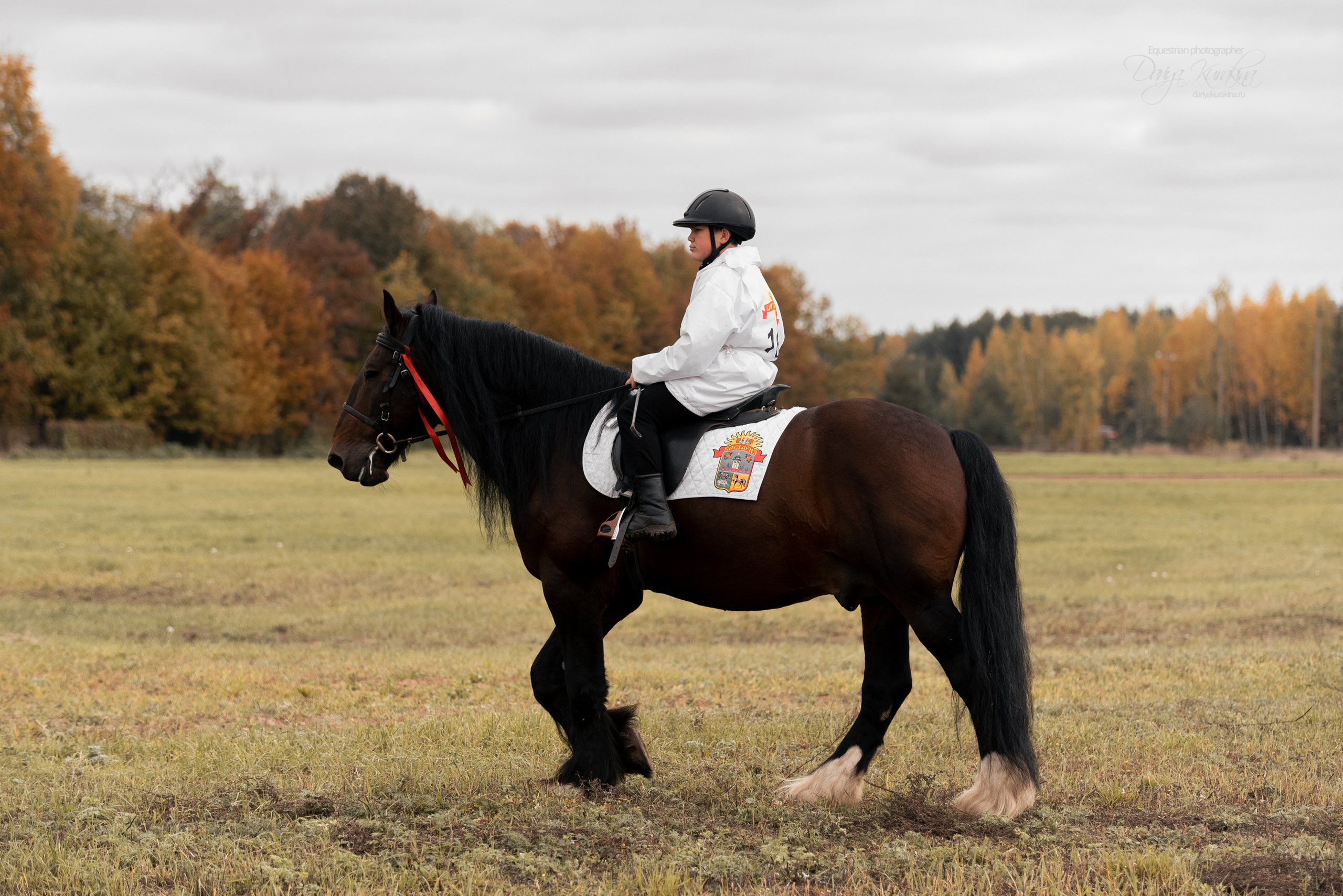 Богдарня. Конный фотограф Куракина Дарья • Фотосессии с лошадьми