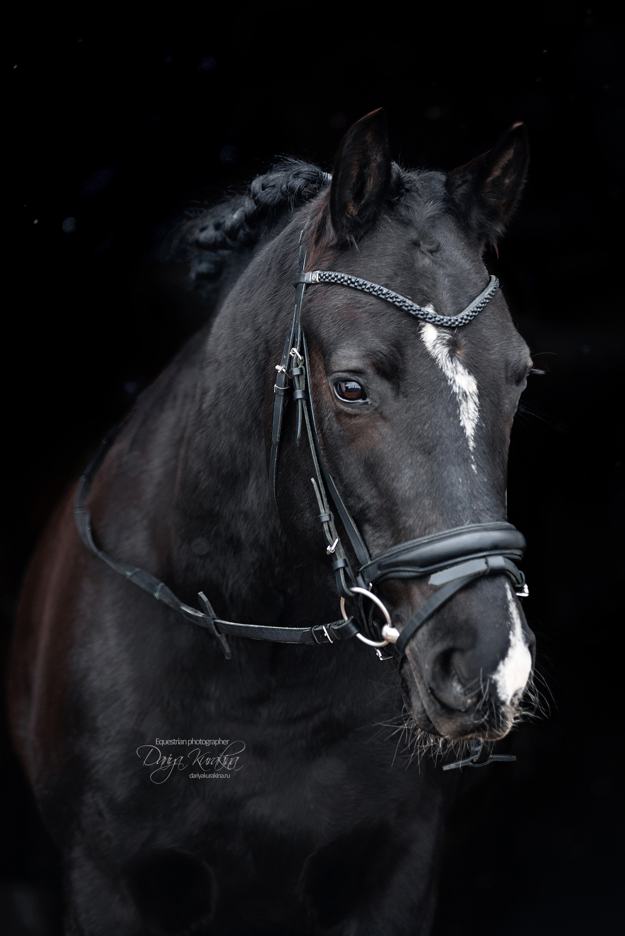 Аня, Полина и Джей Z. Конный фотограф Куракина Дарья • Фотосессии с лошадьми