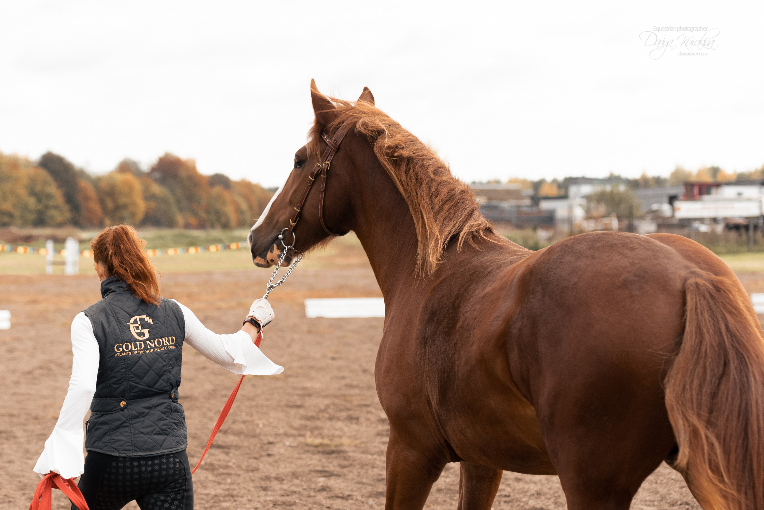 Богдарня. Конный фотограф Куракина Дарья • Фотосессии с лошадьми