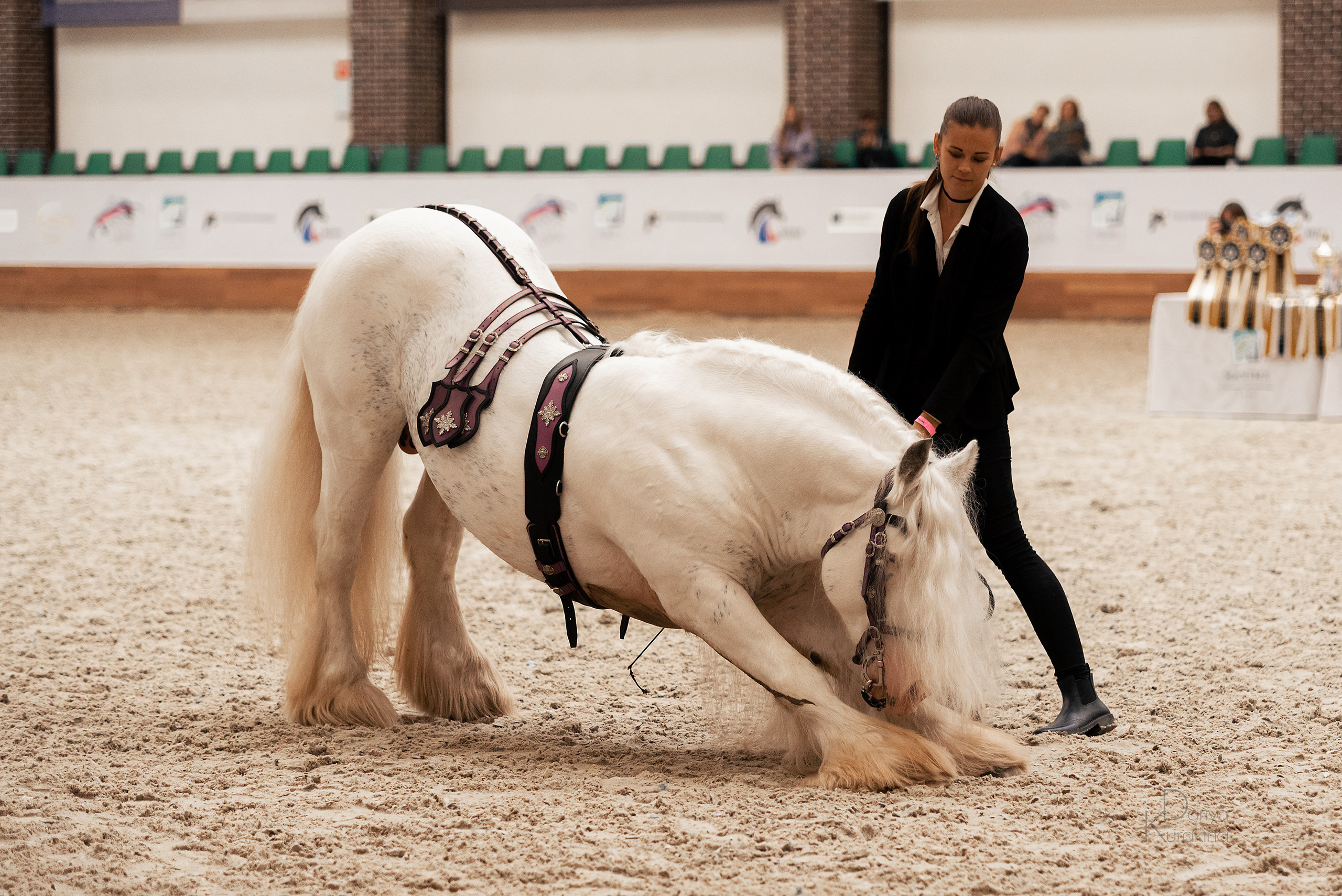Конная Россия 2021. Конный фотограф Куракина Дарья • Фотосессии с лошадьми