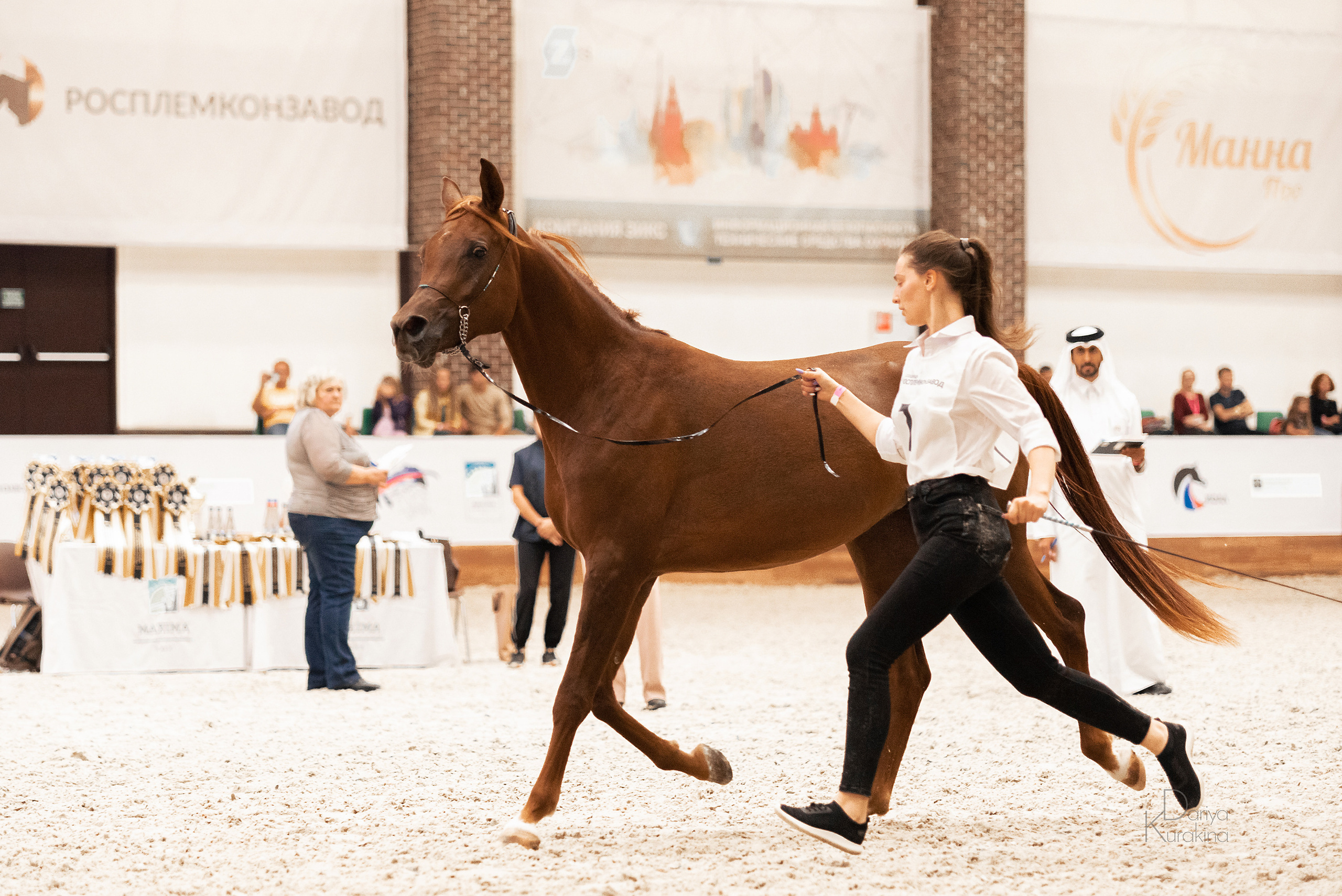 Конная Россия 2021. Конный фотограф Куракина Дарья • Фотосессии с лошадьми